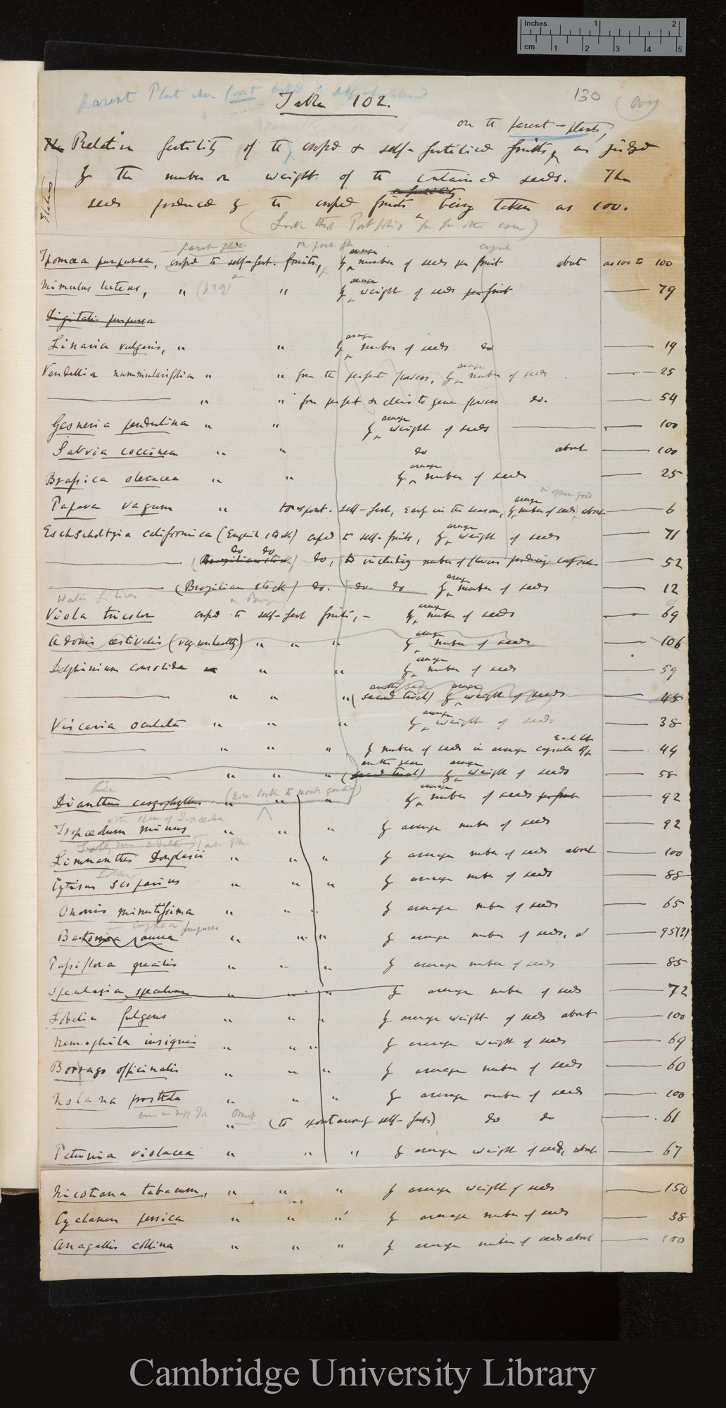 Table 102 / Relative fertility of the crossed &amp; self-fertilised fruits on the parent-plants