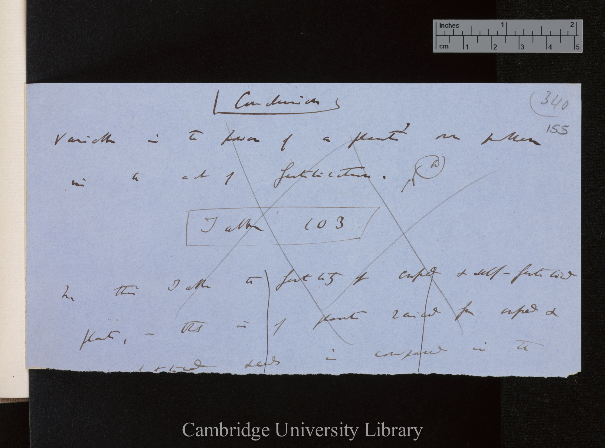 [of &#39;Fertilisation&#39;?] sheet numbered 340 [text around table 103]