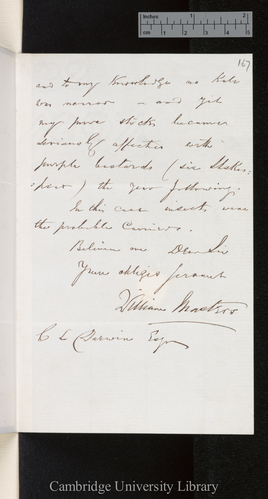 William Masters to Charles Robert Darwin