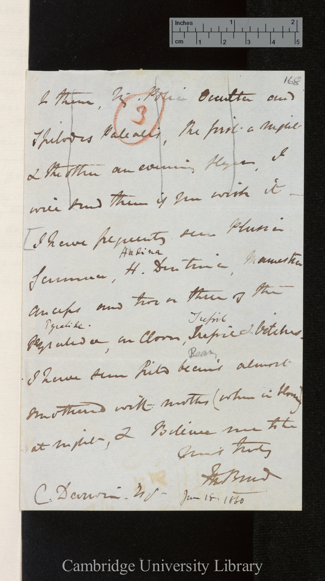 Letter from Frederick Bond to Charles Robert Darwin; written at [place unstated] incomplete