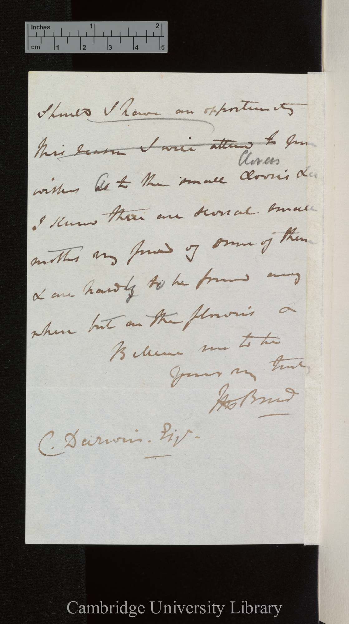 Frederick Bond to Charles Robert Darwin