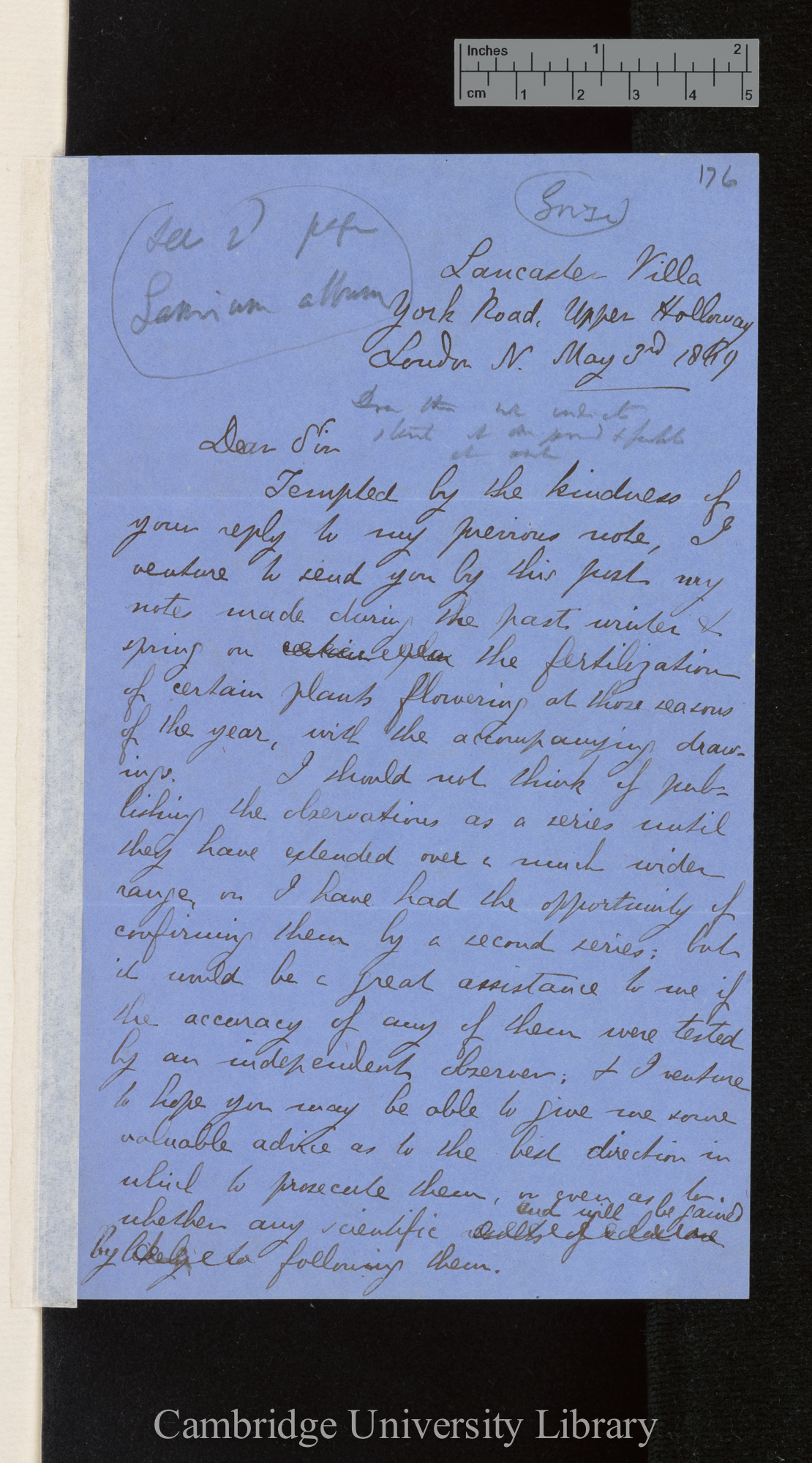 Alfred William Bennett to Charles Robert Darwin