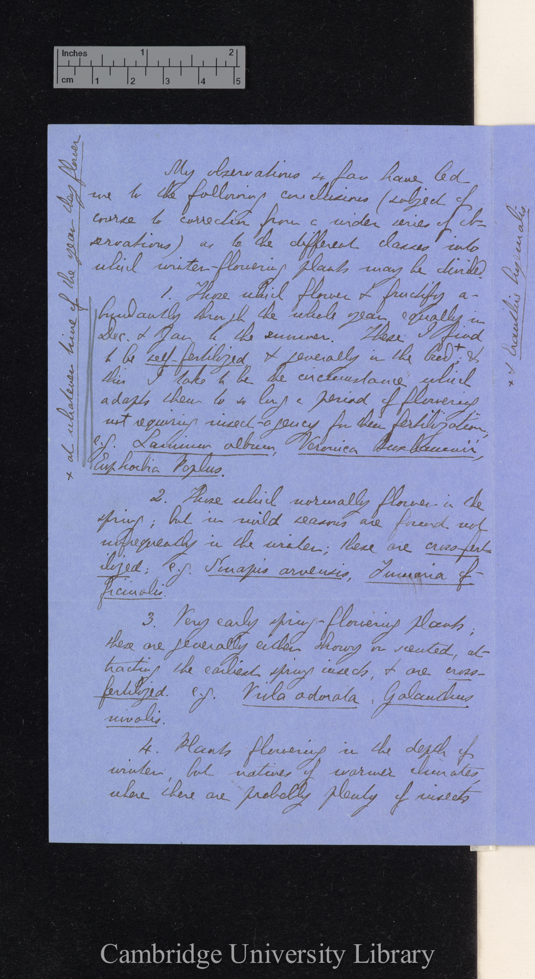 Alfred William Bennett to Charles Robert Darwin