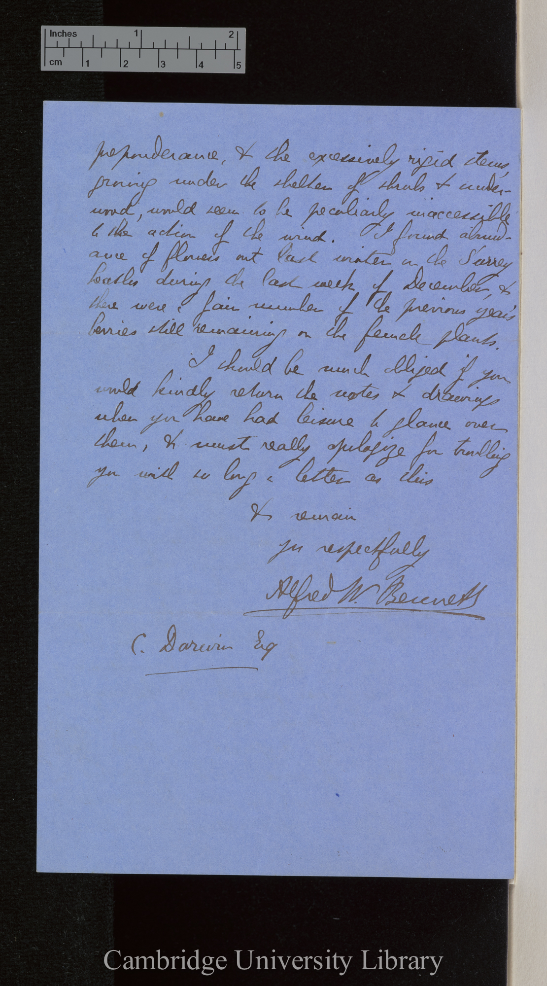 Alfred William Bennett to Charles Robert Darwin