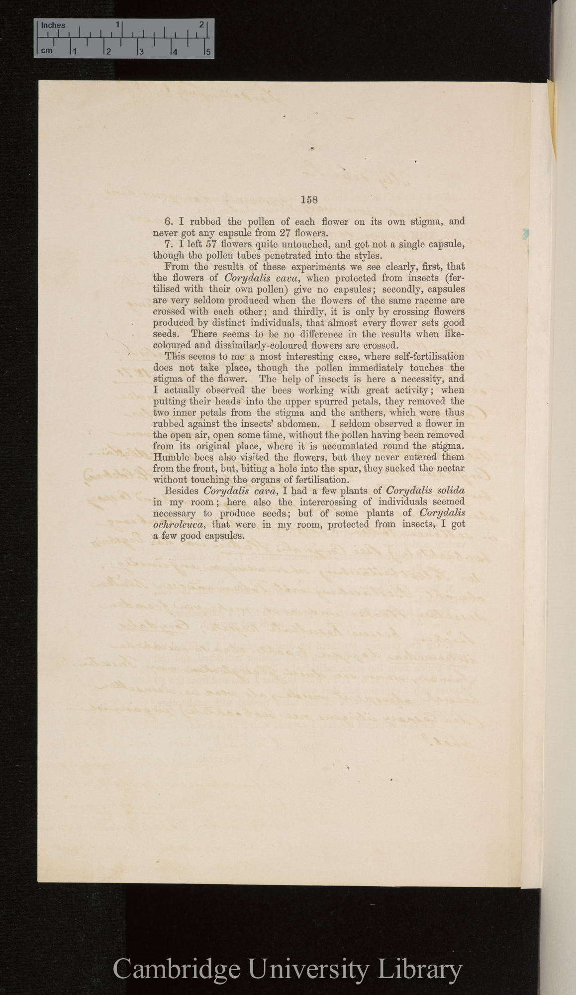 On the necessity for insect agency in the fertilisation of Corydalis cava &#39;Rep Int Hort Exhib &amp; Bot Congr&#39;: 158