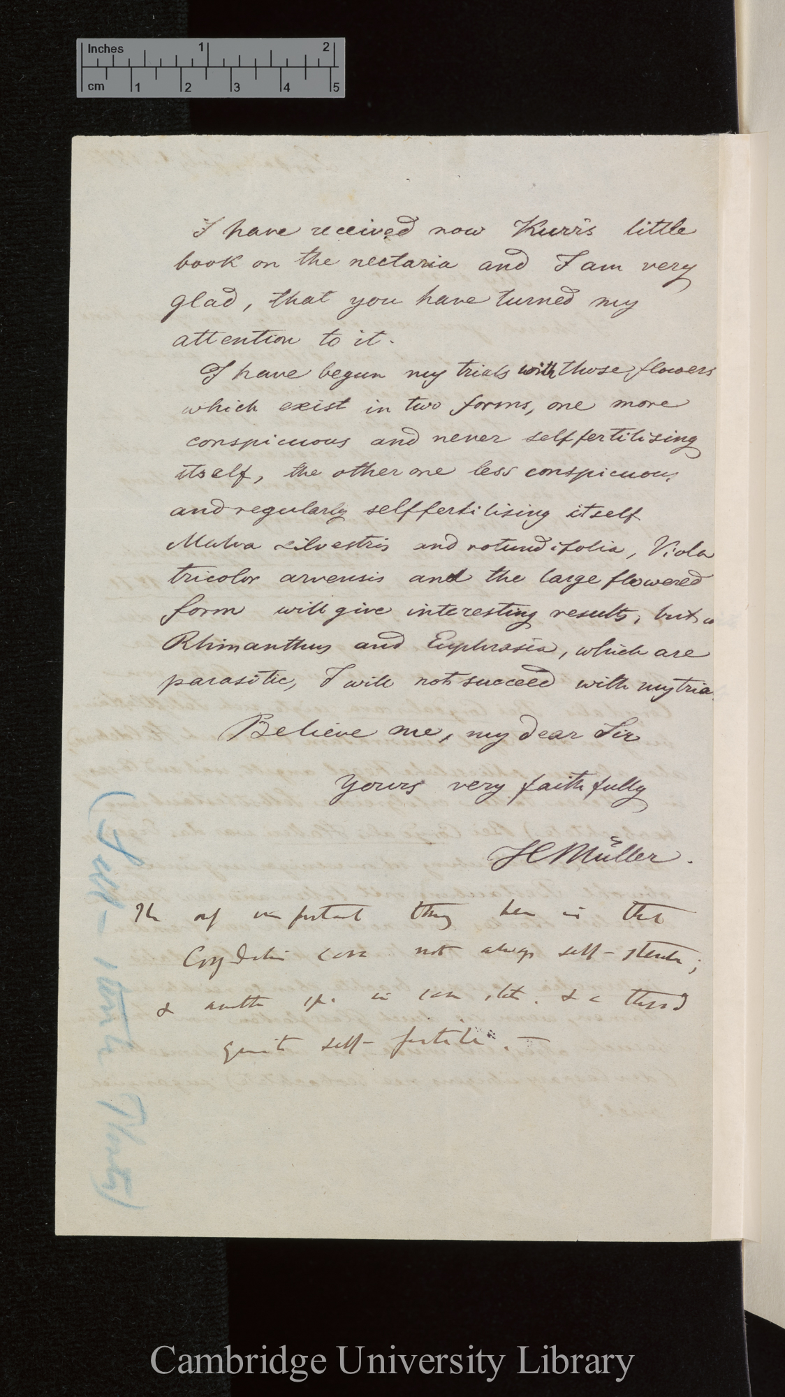 (Heinrich Ludwig) Hermann Müller to Charles Robert Darwin