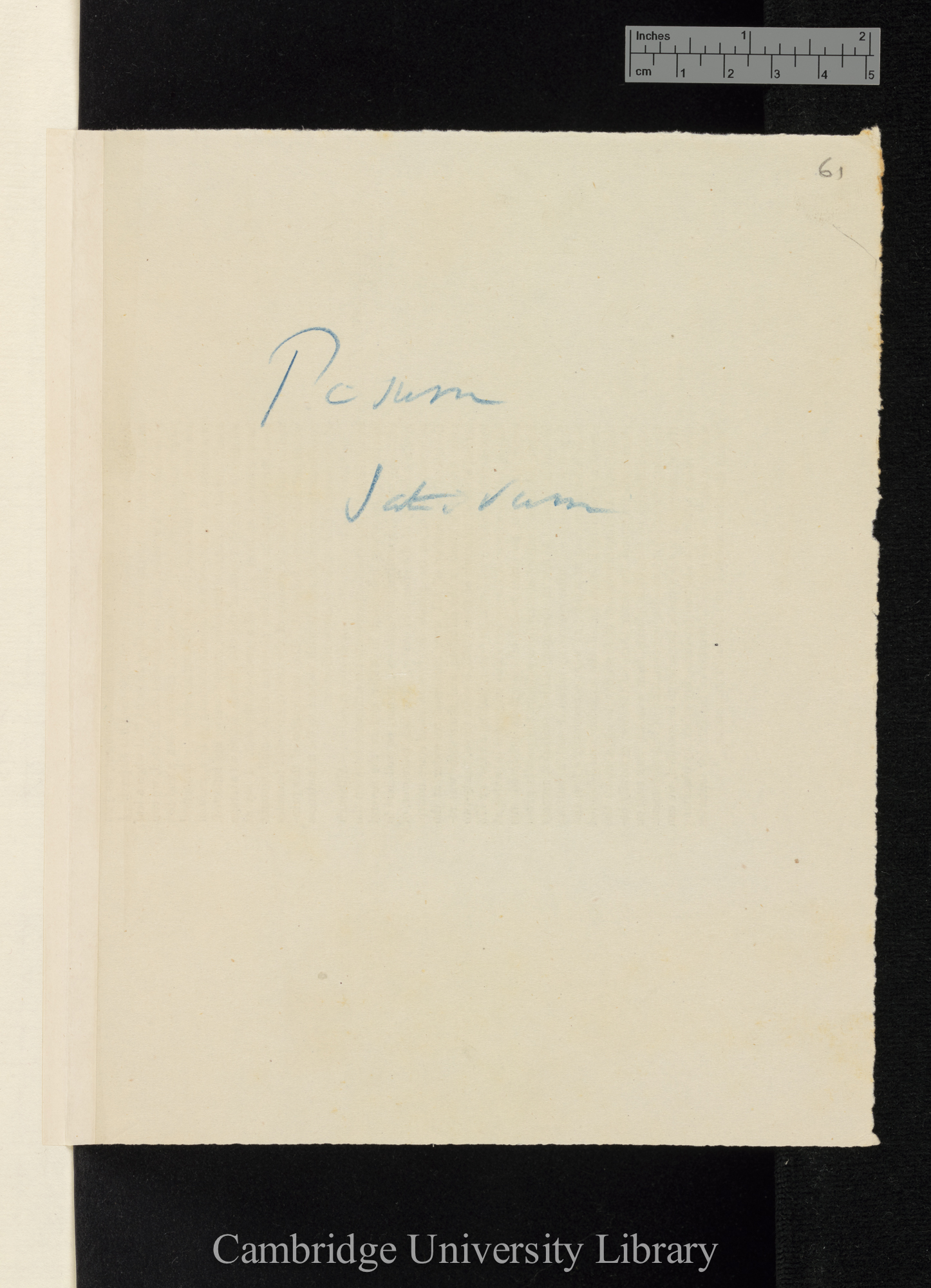 cover for items DAR 77: 62- annotated &#39;Pisum sativum&#39;