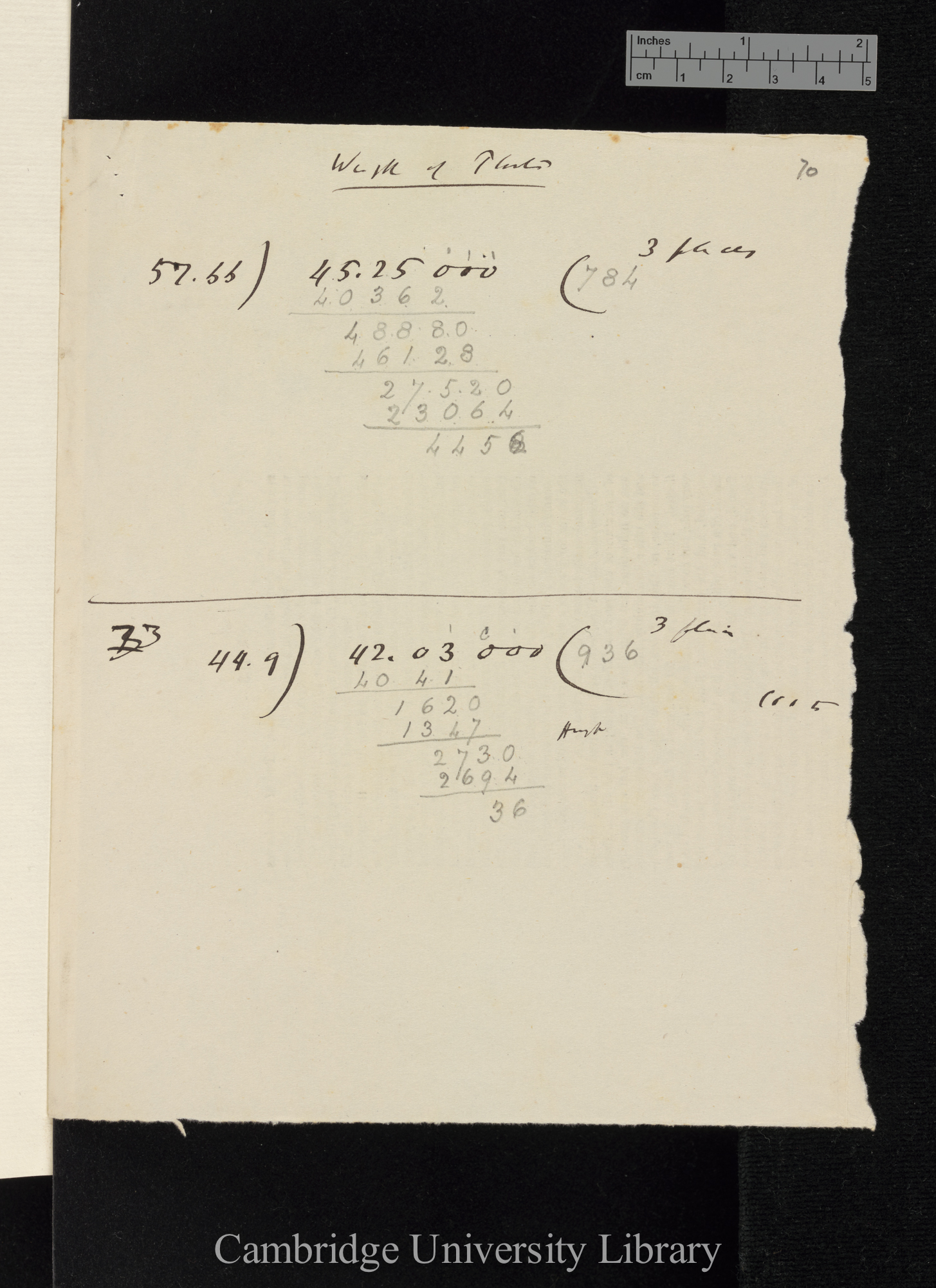 Weight of plants [calculations]