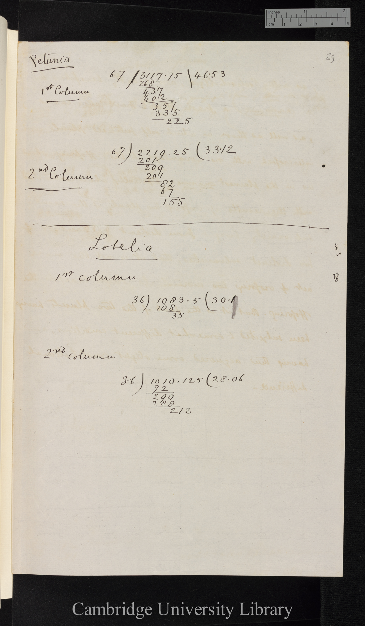 Petunia / Lobelia fulgens [comparison of crossed and self-fertilised] [table of heights of plants; other calculations]