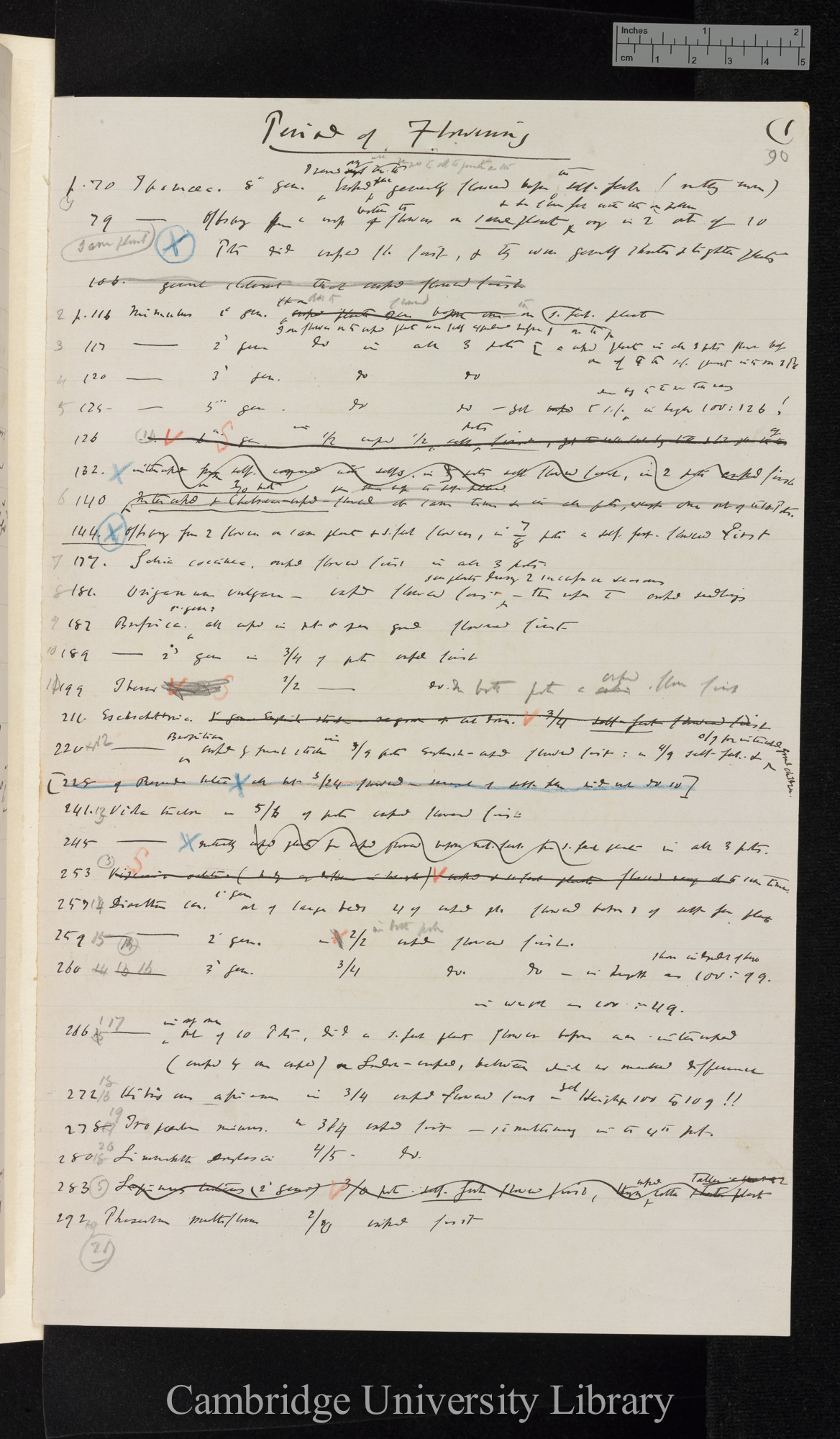 Period of flowering [summary and index of observations]