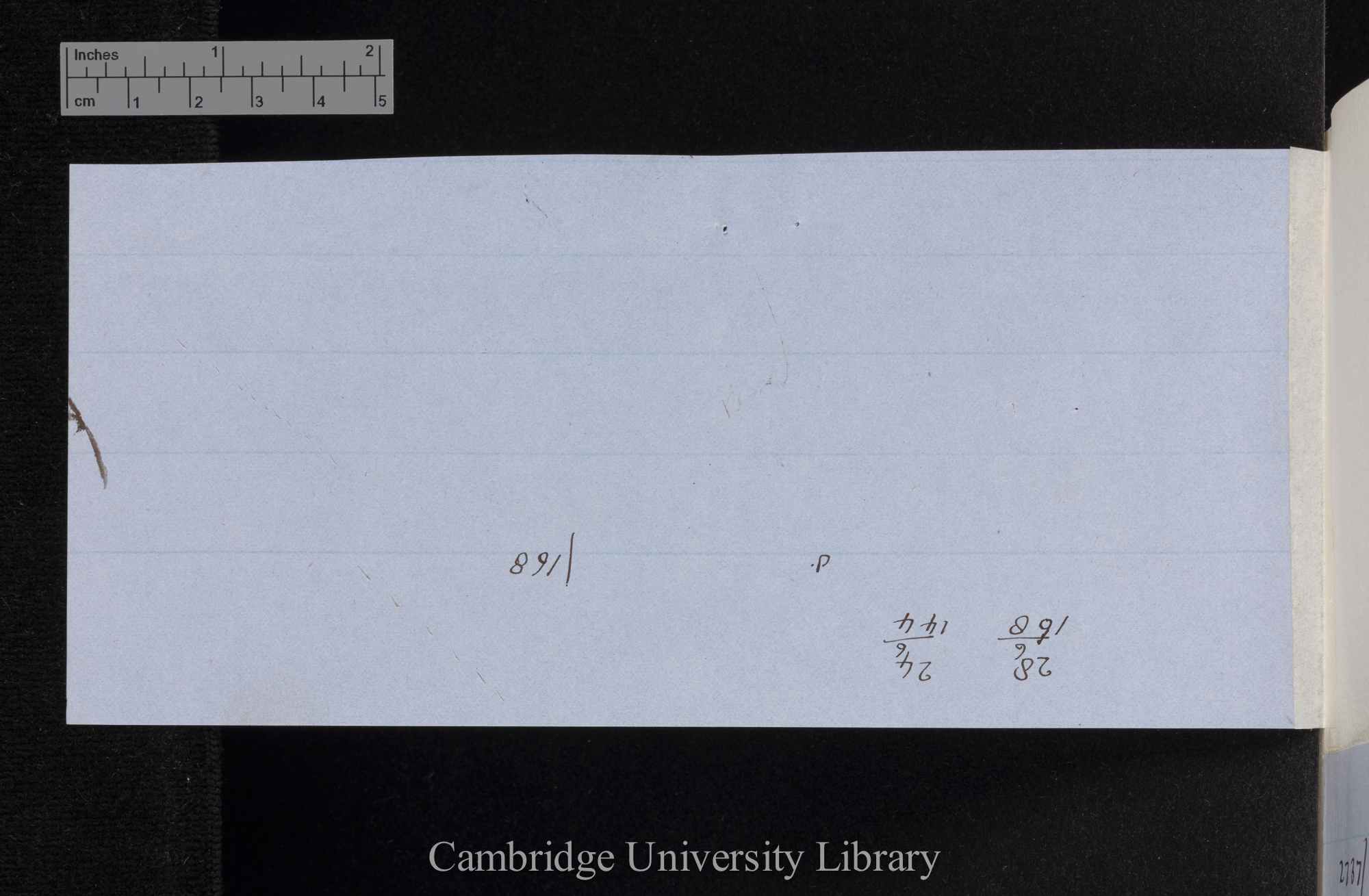 Dianthus [comparison of crossed and self-fertilised] [numbers of seed?]