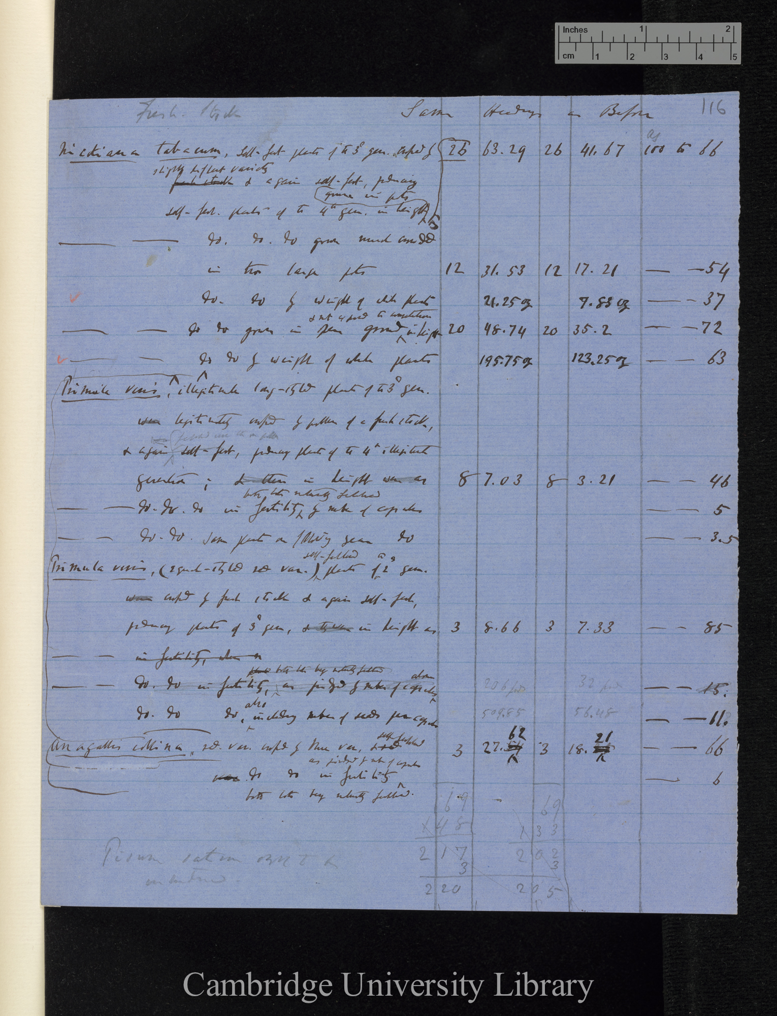 Table 100 / Crossed by fresh stock [table of comparative heights]