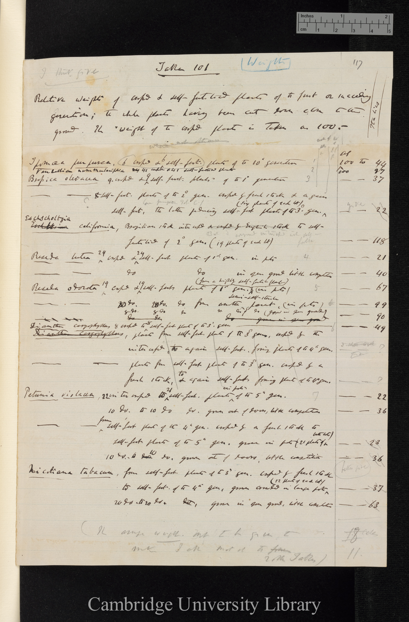 Table 101 / Weights / Relative weights of crossed &amp; self-fertilised plants of the first or succeeding generation