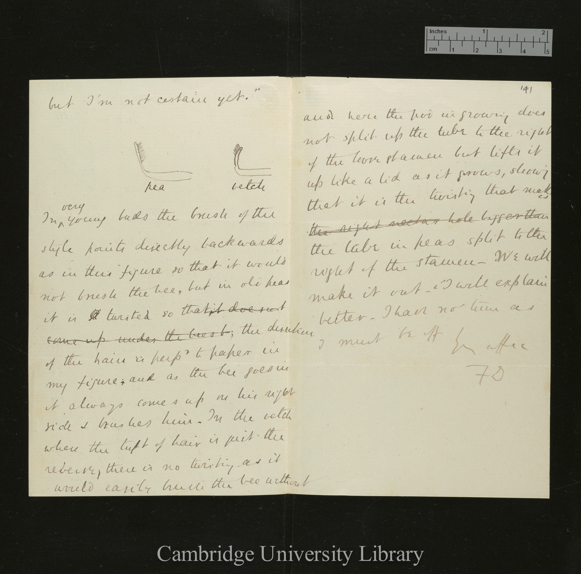 Sir Francis Darwin to Charles Robert Darwin