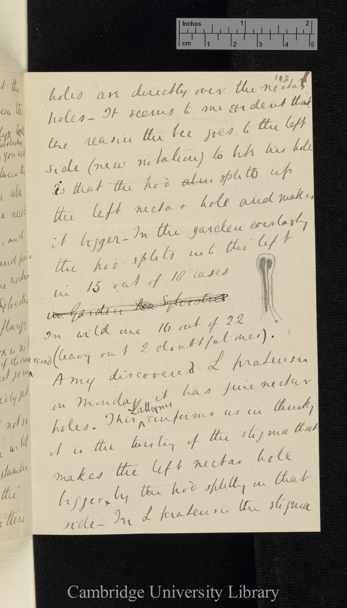 Sir Francis Darwin to Charles Robert Darwin