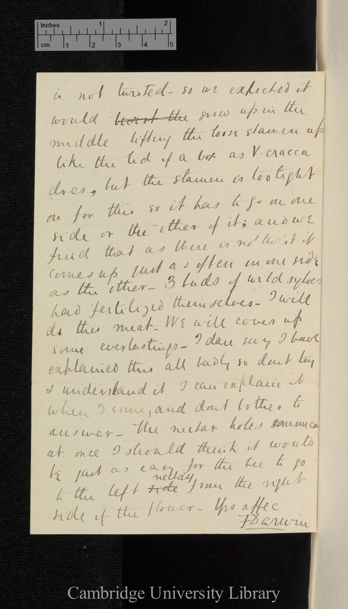 Sir Francis Darwin to Charles Robert Darwin