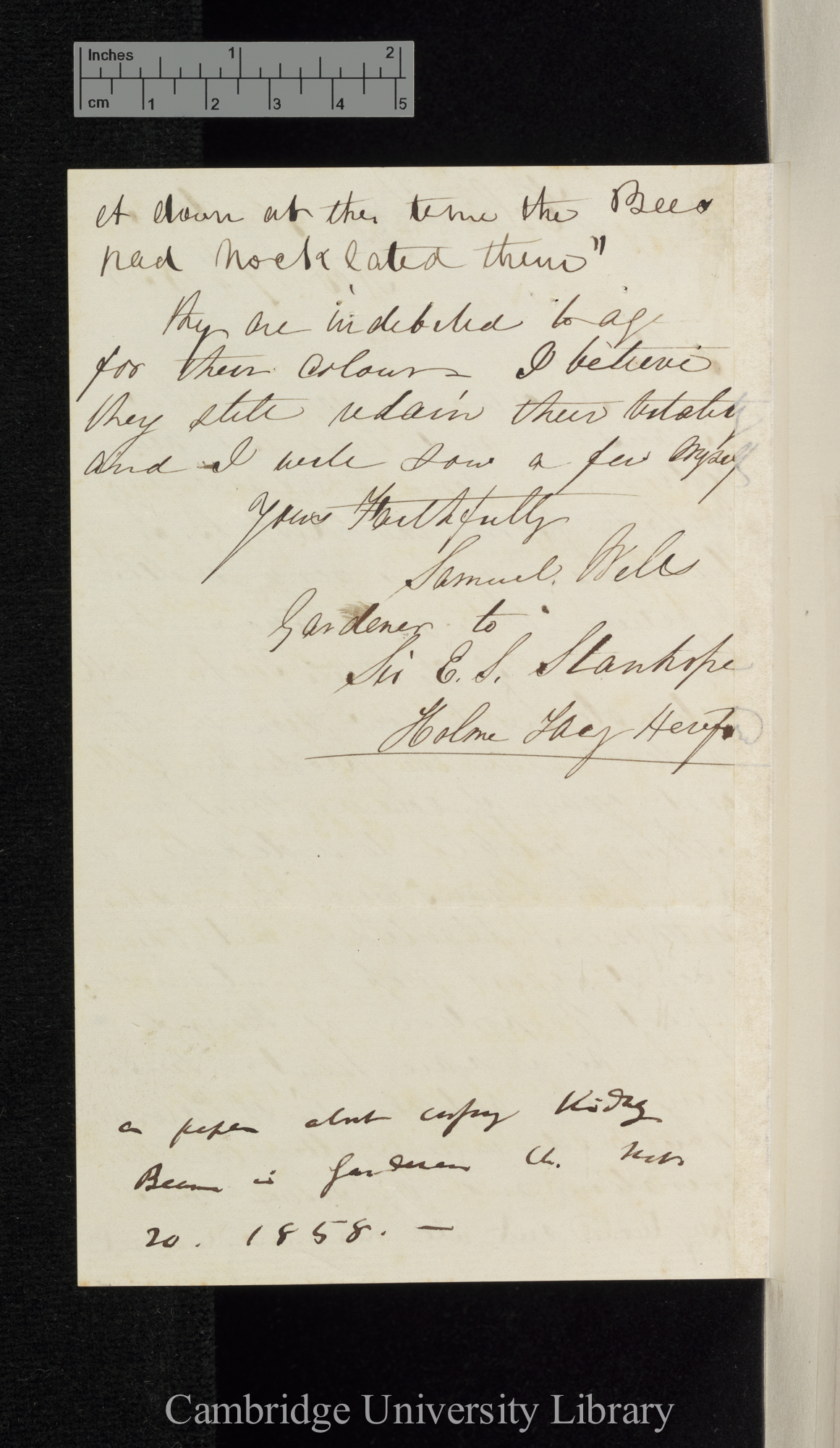 Samuel Wells to Charles Robert Darwin