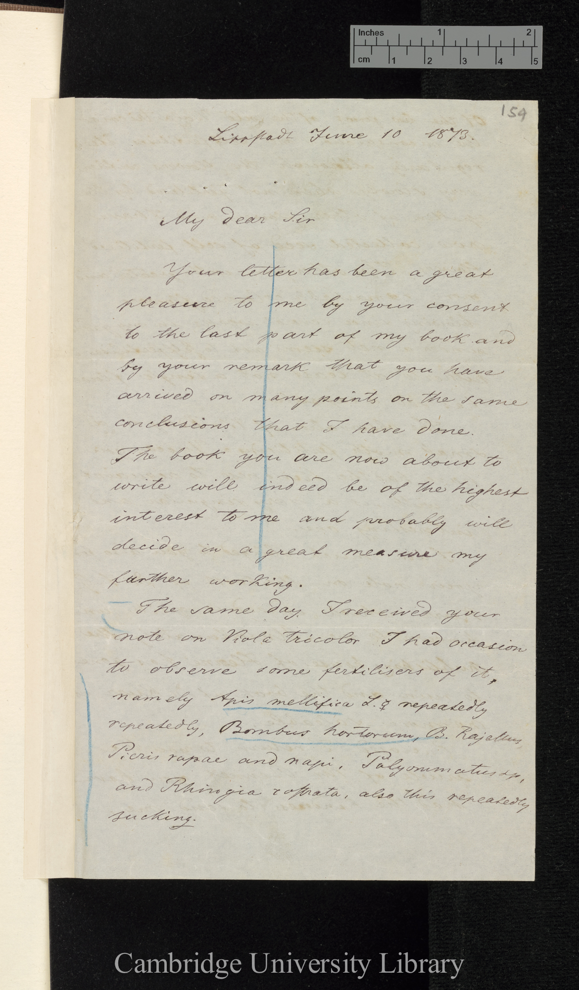 (Heinrich Ludwig) Hermann Müller to Charles Robert Darwin