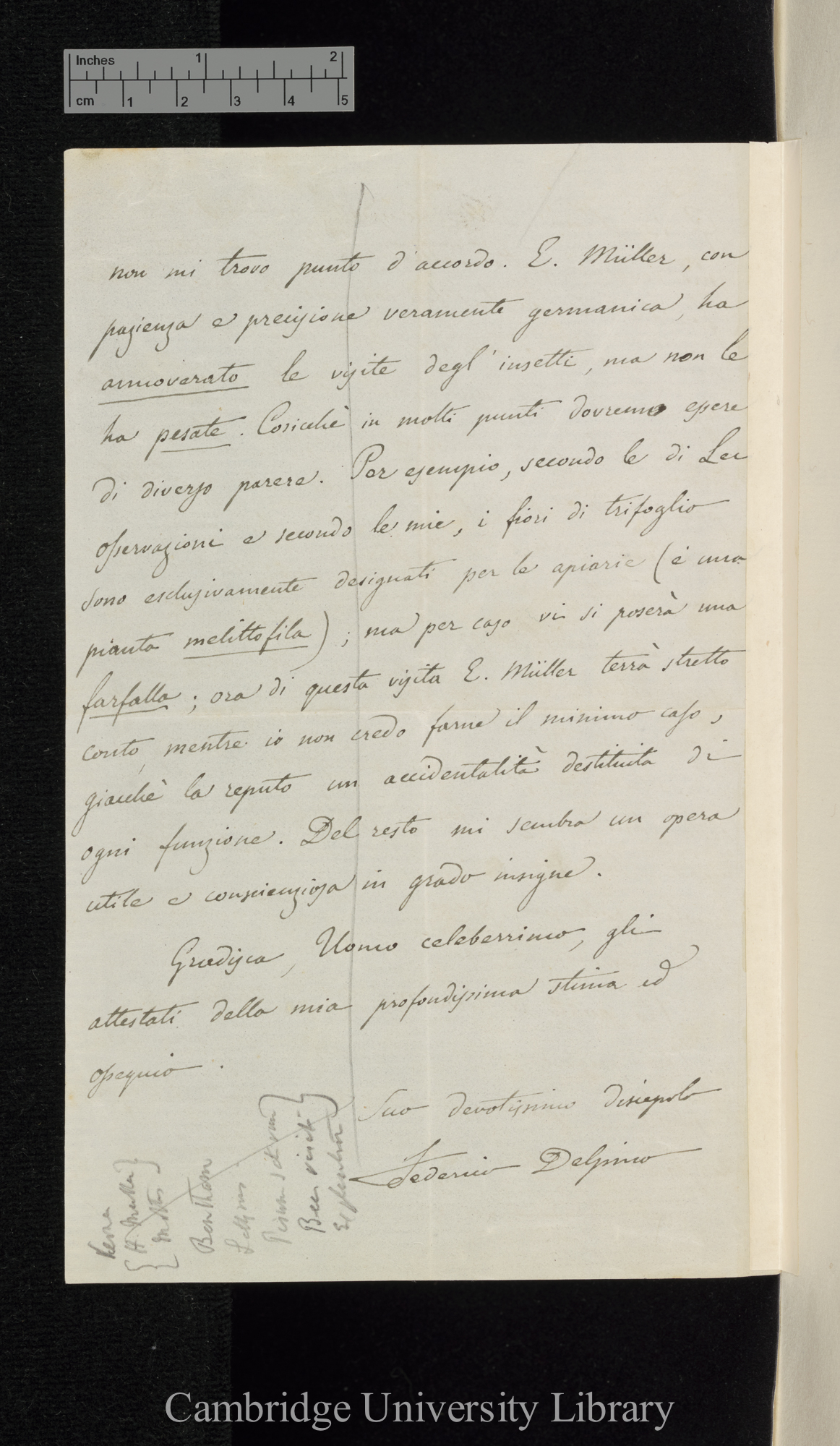 Federico Delpino to Charles Robert Darwin