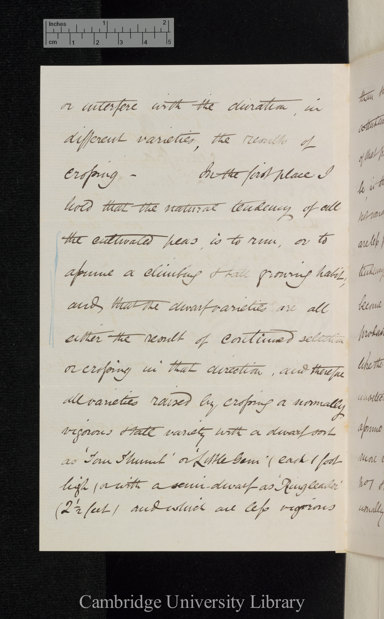 Thomas Laxton to Charles Robert Darwin