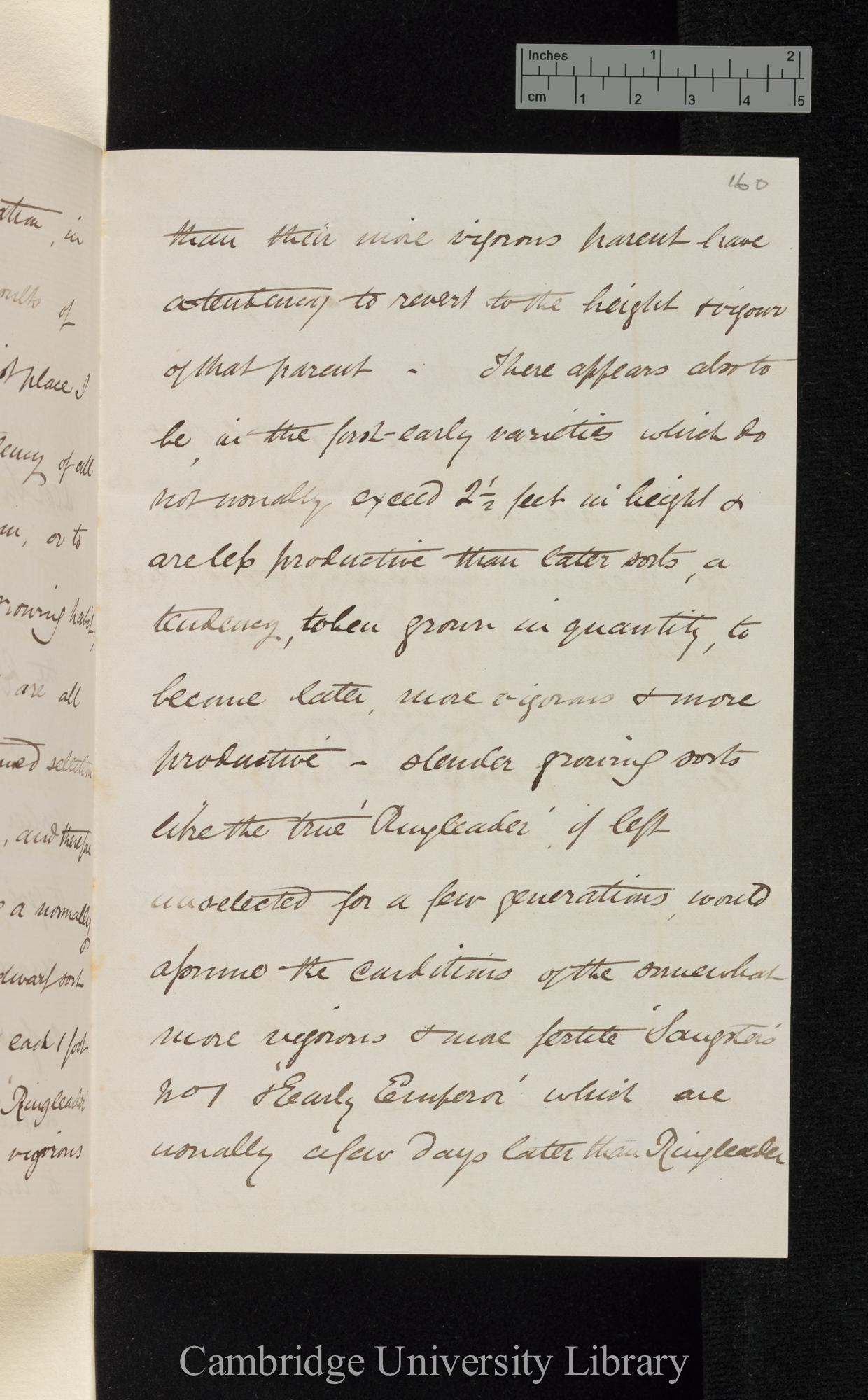 Thomas Laxton to Charles Robert Darwin