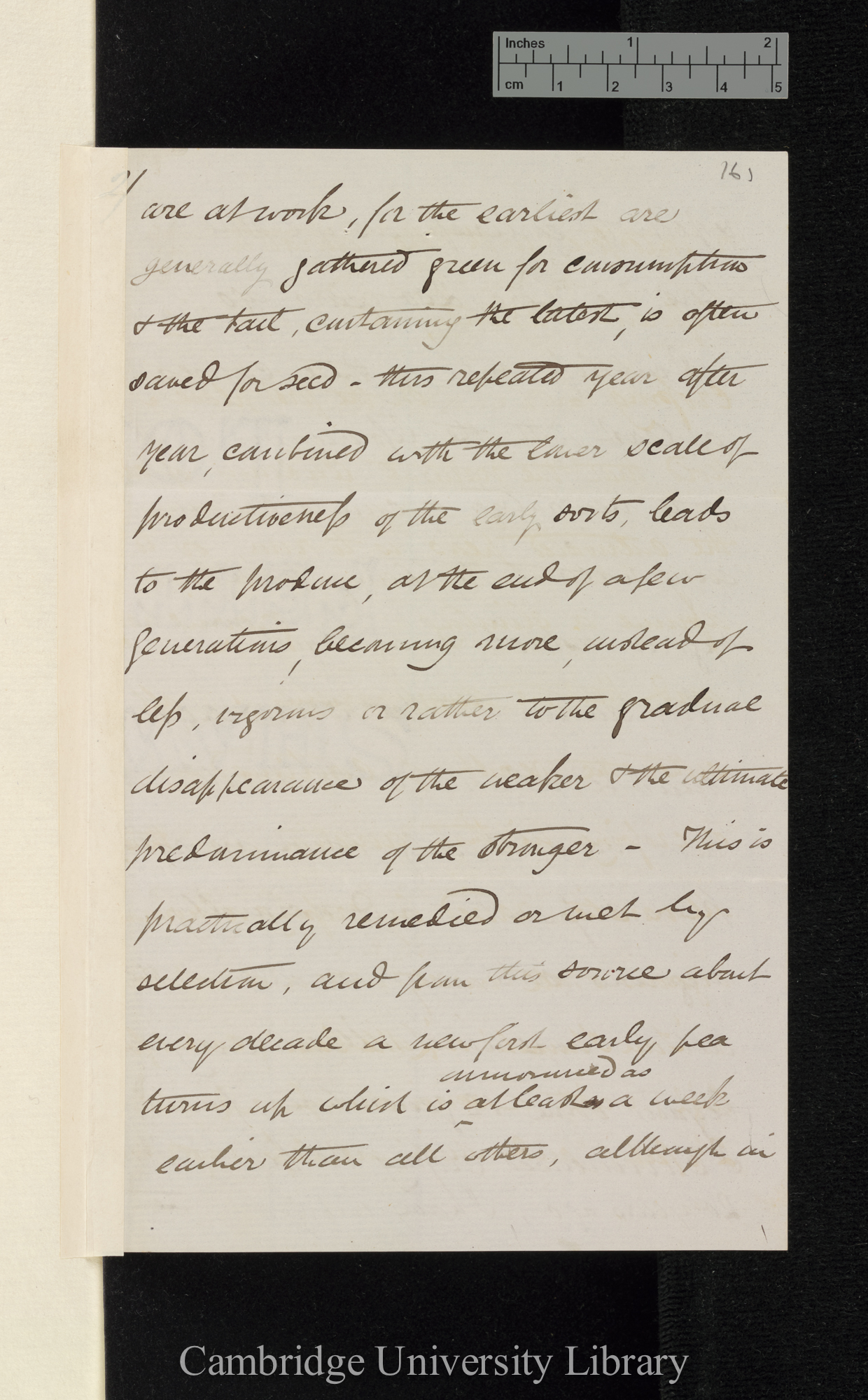 Thomas Laxton to Charles Robert Darwin