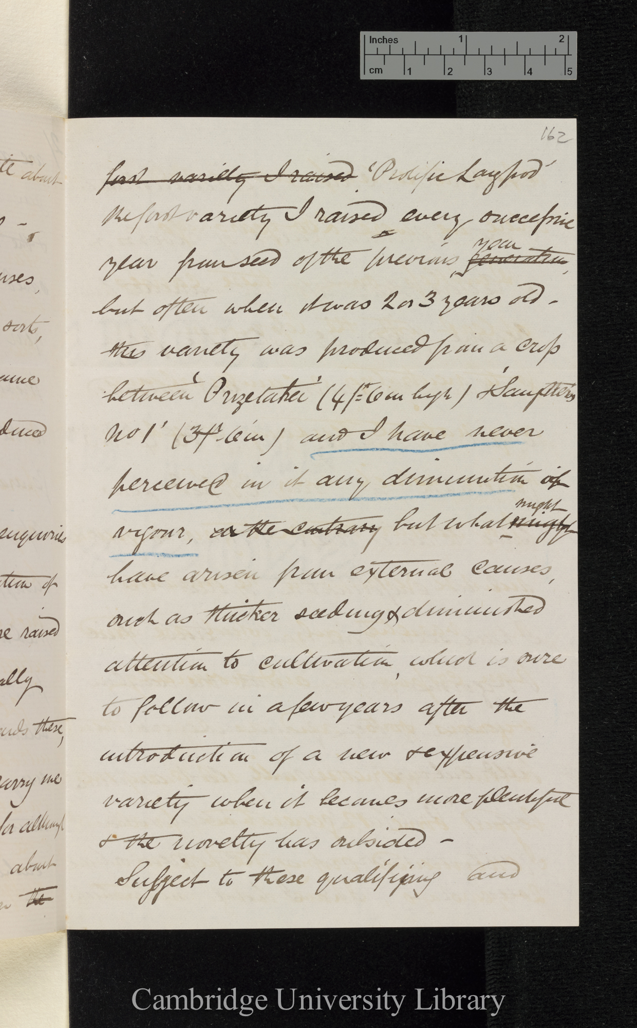 Thomas Laxton to Charles Robert Darwin