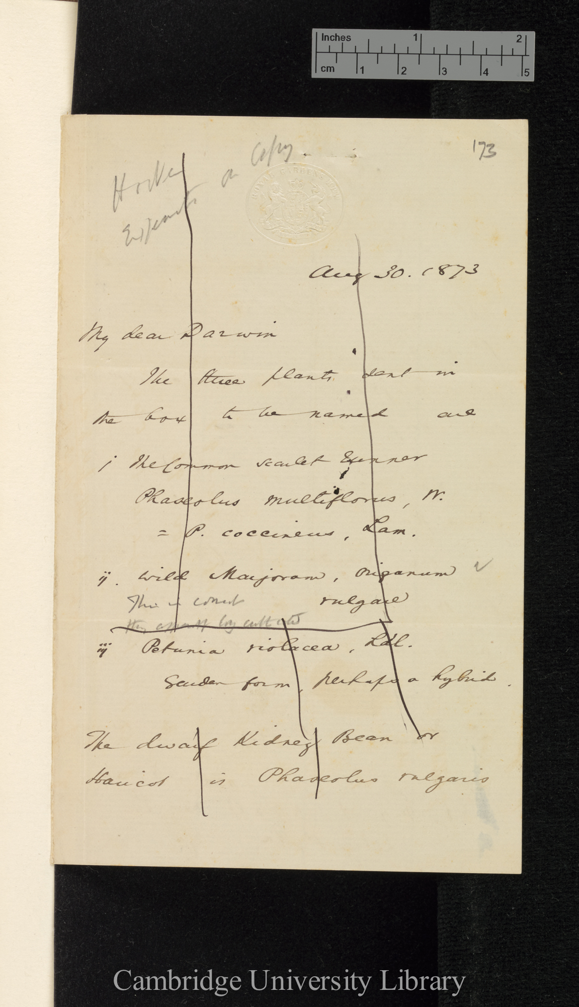 Sir Joseph Dalton Hooker to Charles Robert Darwin