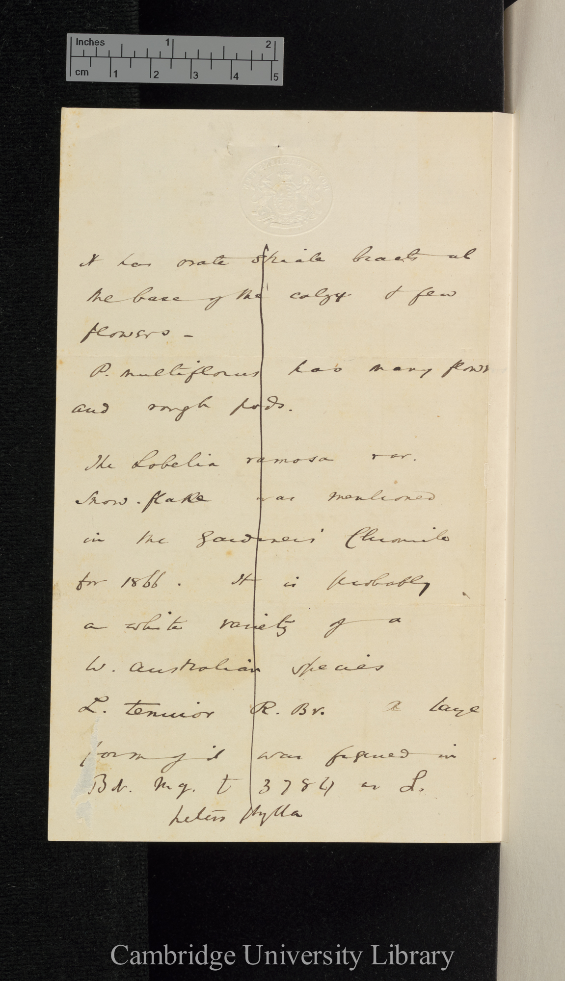 Sir Joseph Dalton Hooker to Charles Robert Darwin