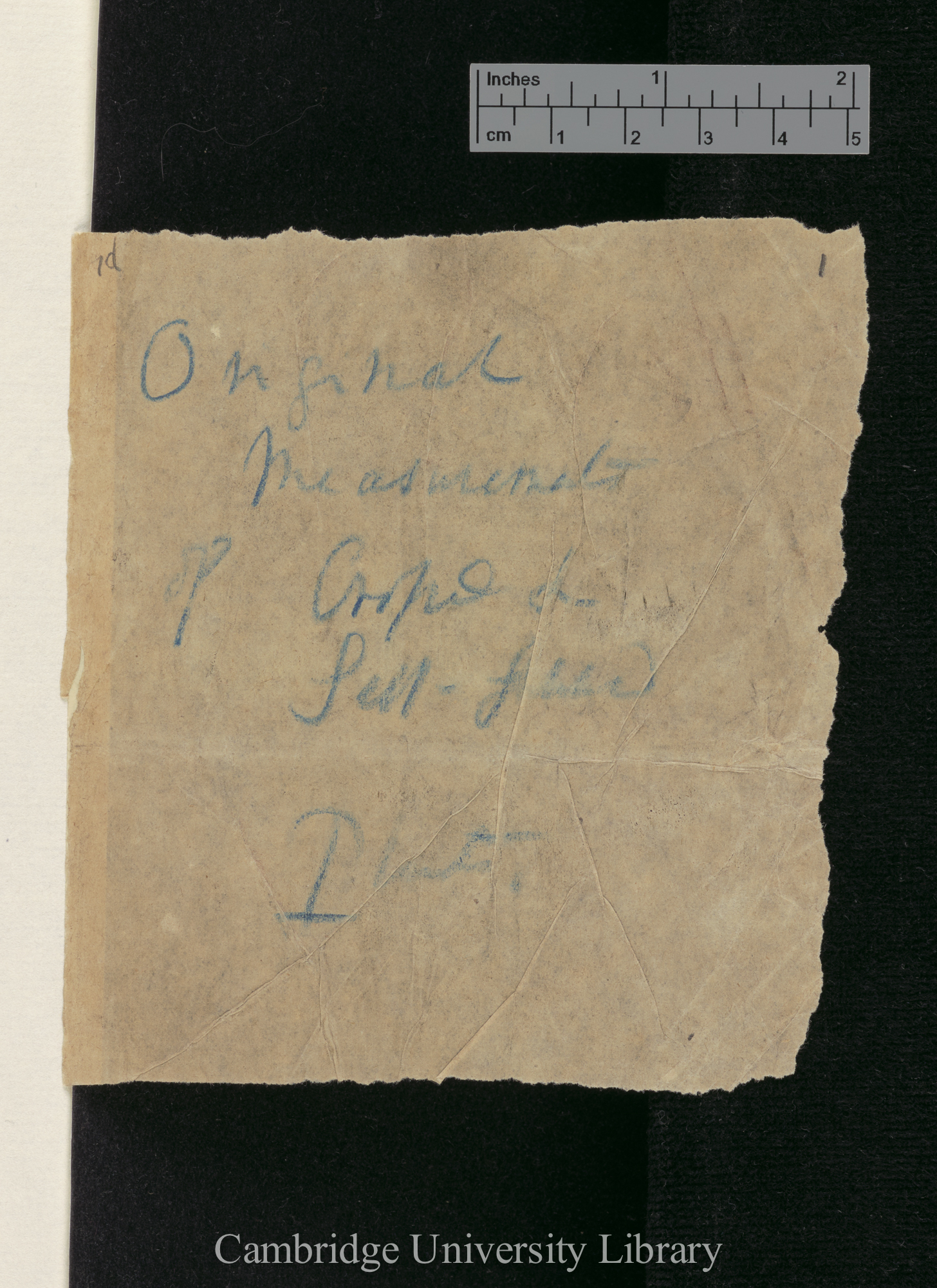 wrapper for items DAR 78: 2- annotated &#39;Original measurements of Crossed &amp; Self-fertilised Plants&#39;