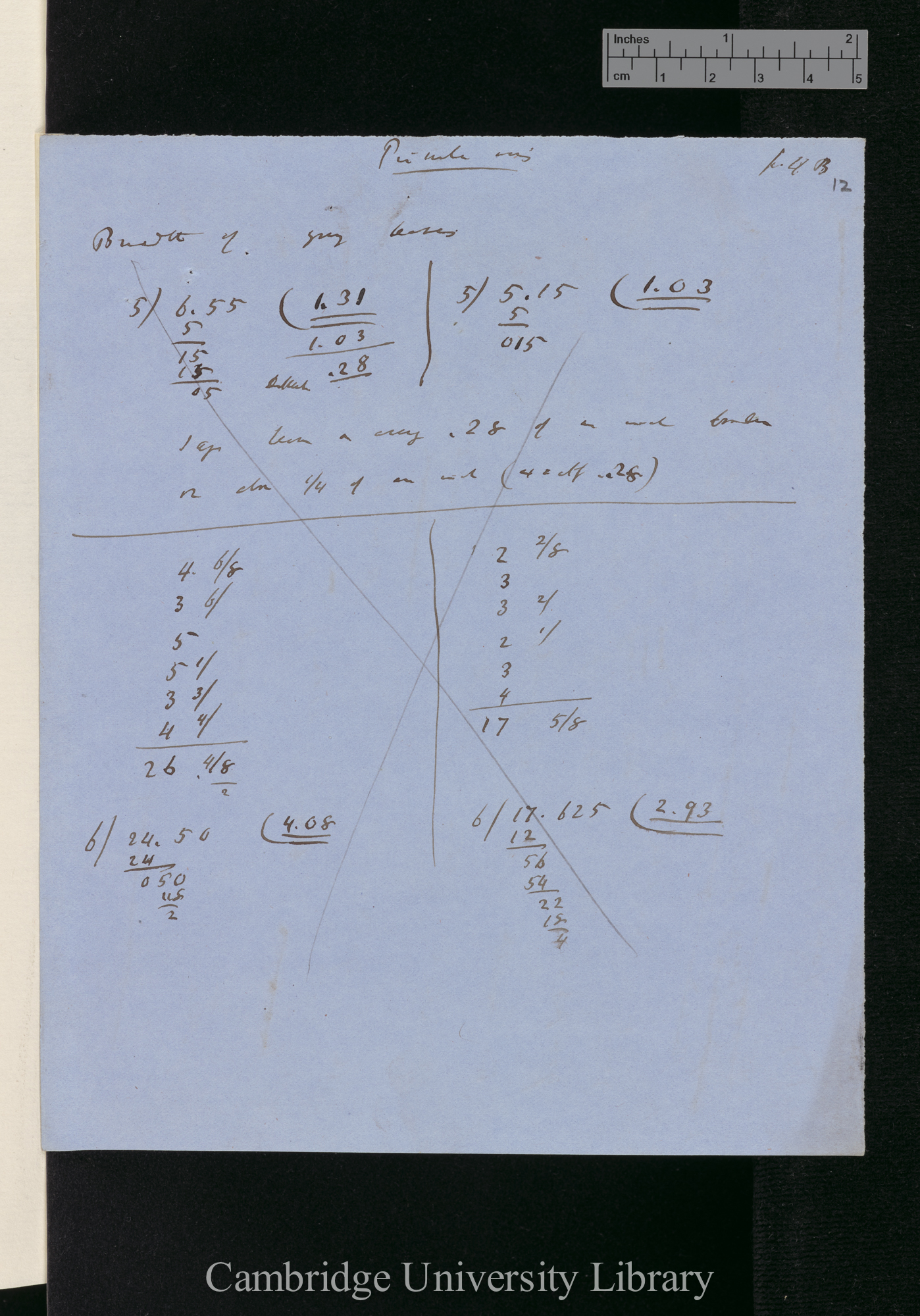 Primula veris [measurements and calculations]