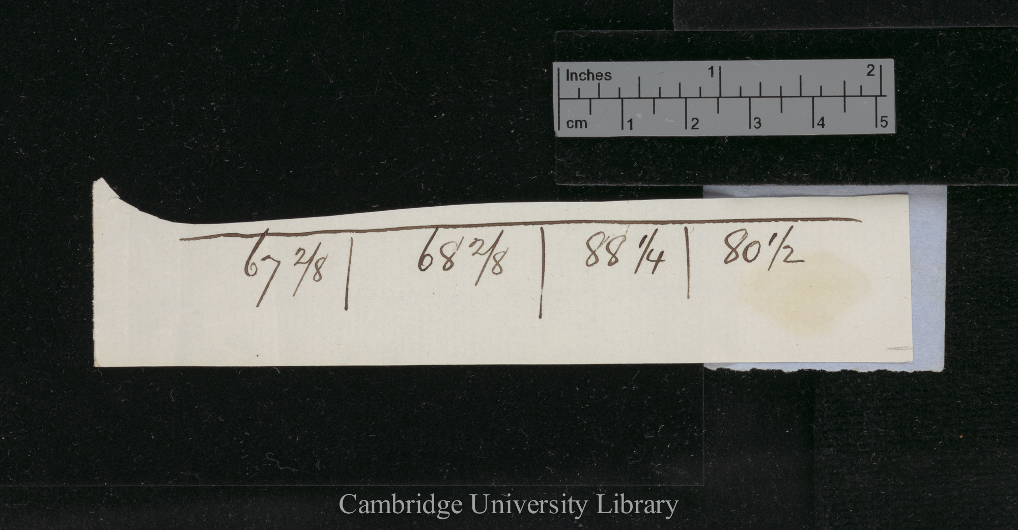 Cabbage [comparison of crossed and self-fertile plants in number of seed, period of flowering, height, weight