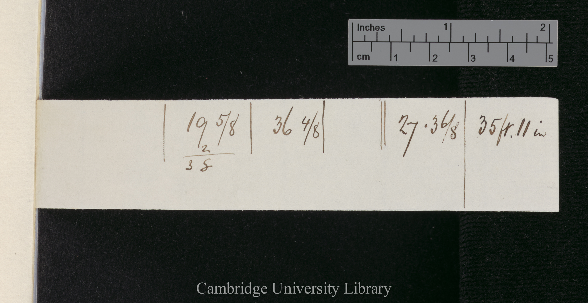 Petunia [comparison of crossed and self-fertile plants in number of seed, weight, colour differences]