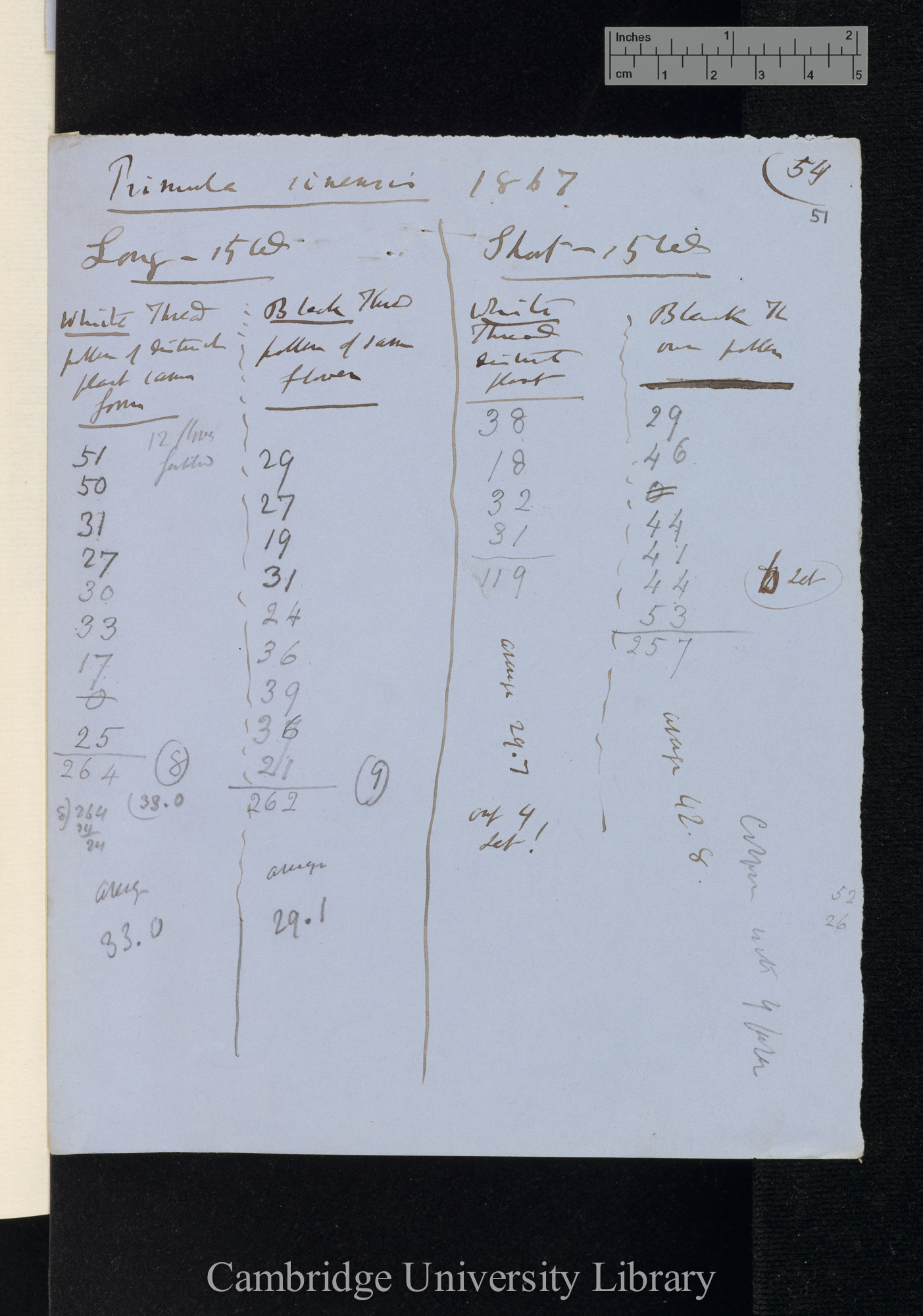 Primula sinensis / Long-styled / Short-styled (tables and notes)