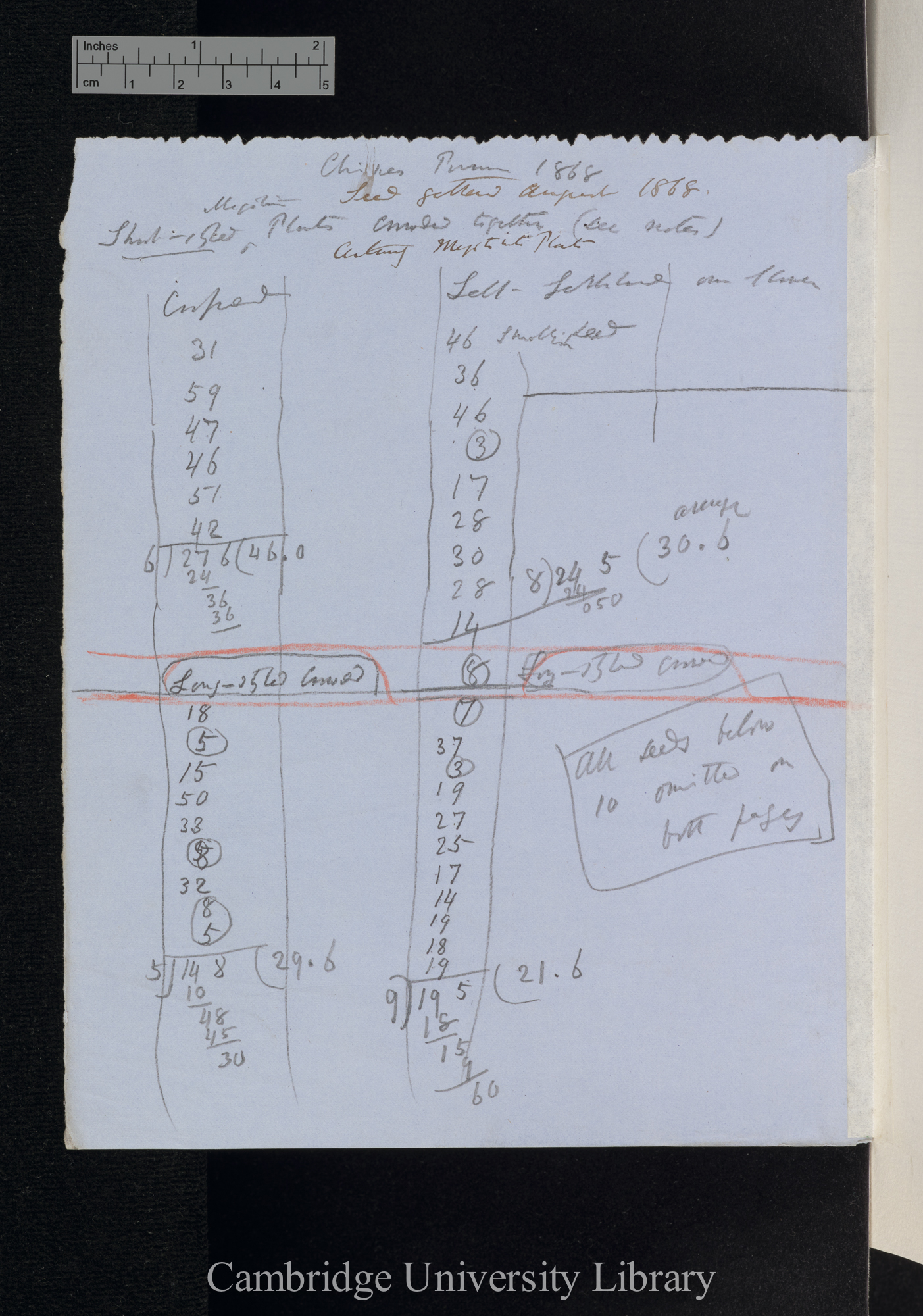 Primula sinensis / Long-styled / Short-styled (tables and notes)