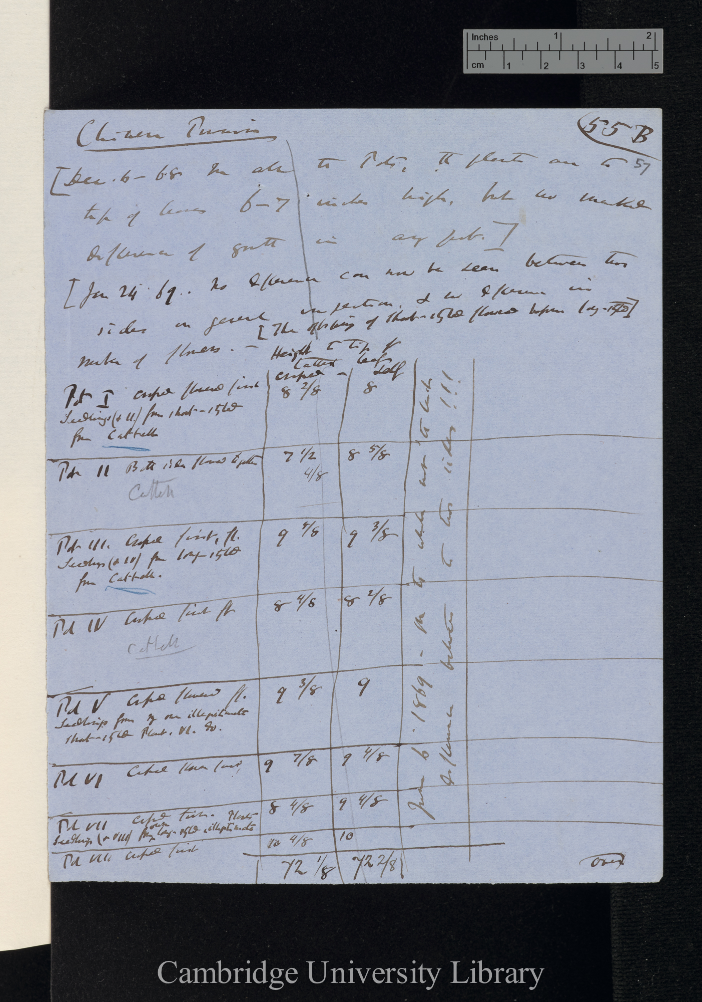 Primula sinensis / Long-styled / Short-styled (tables and notes)