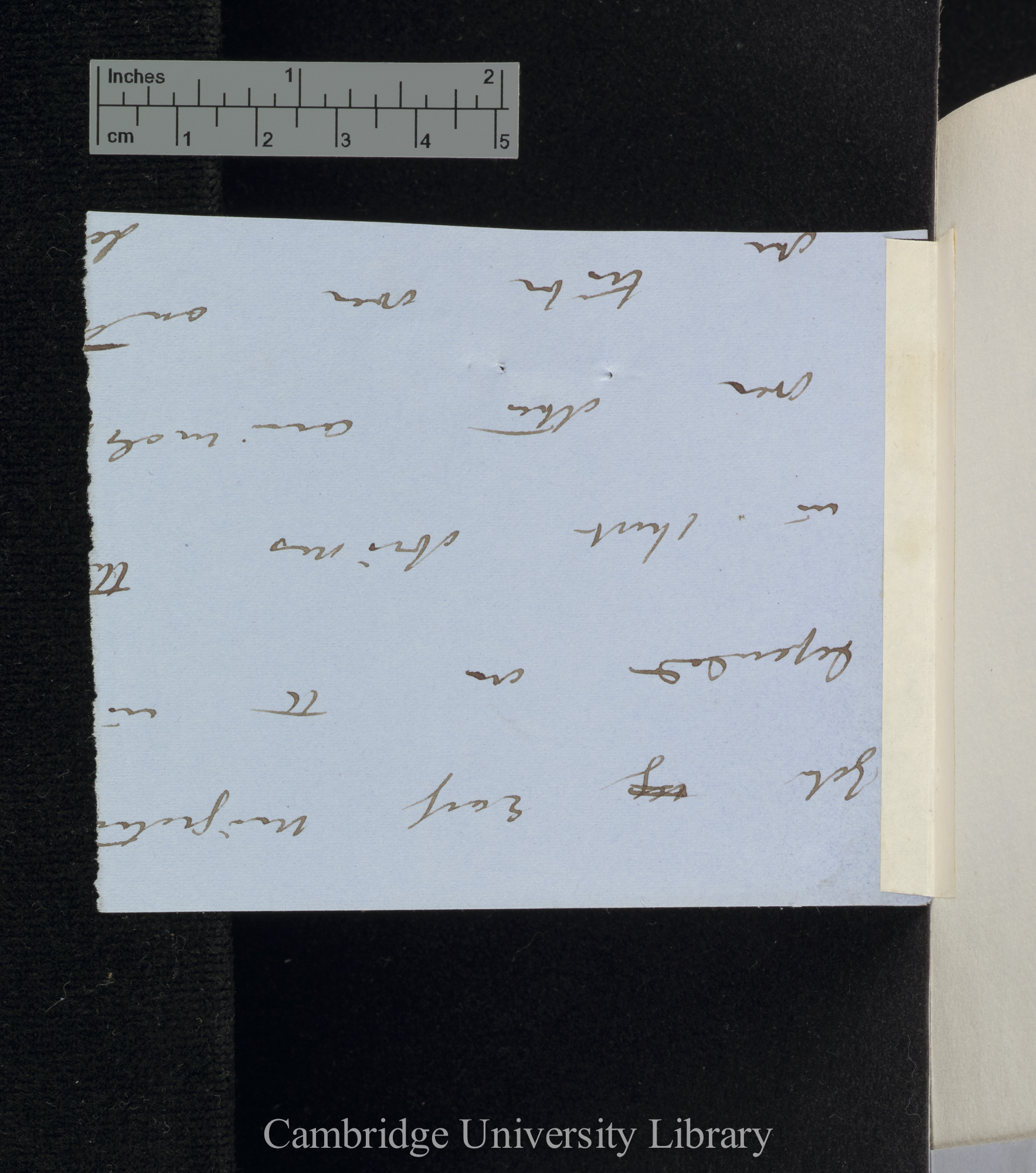 [fragment of unidentified draft text]