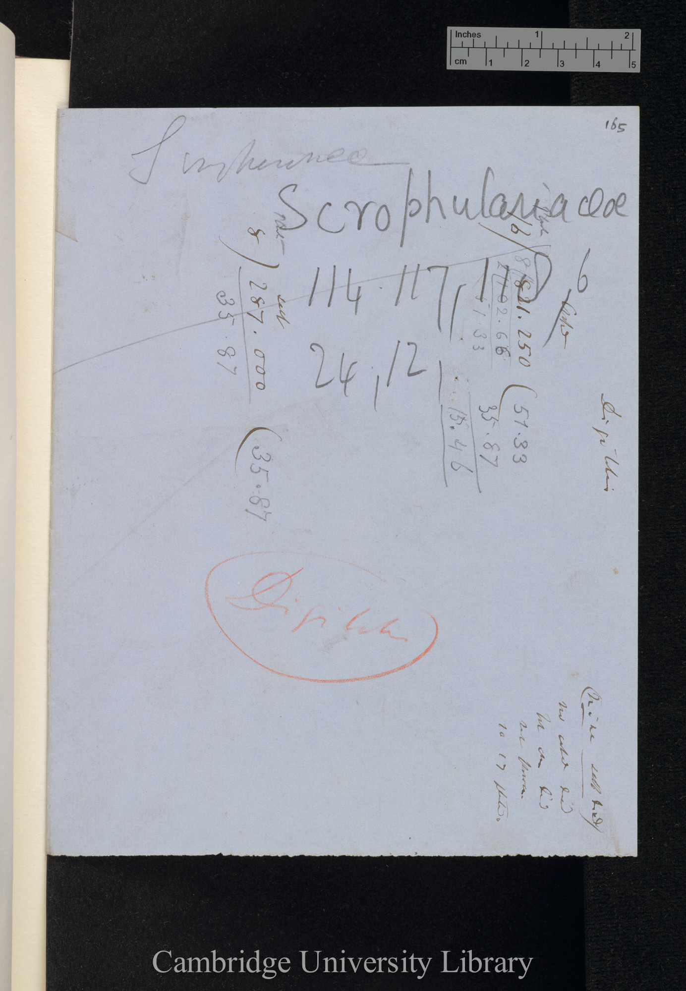 Scrophulariaceae (calculations)