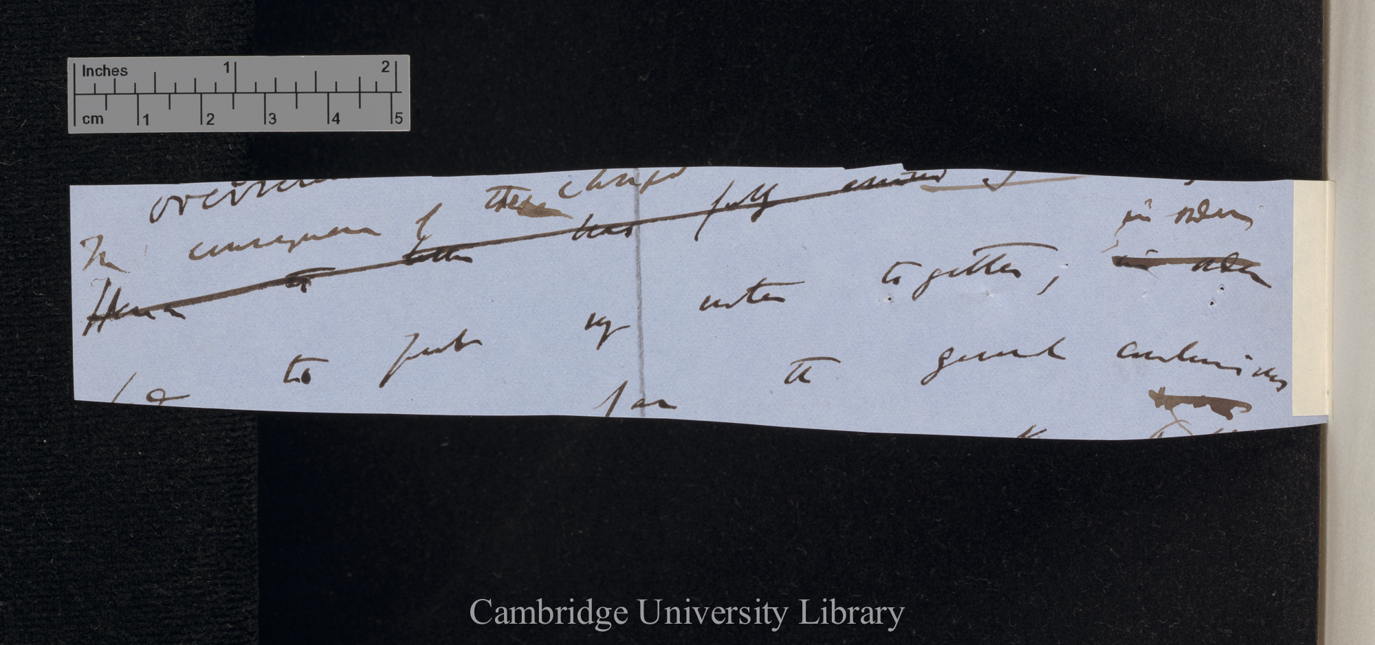 fragment from draft [of letter?]