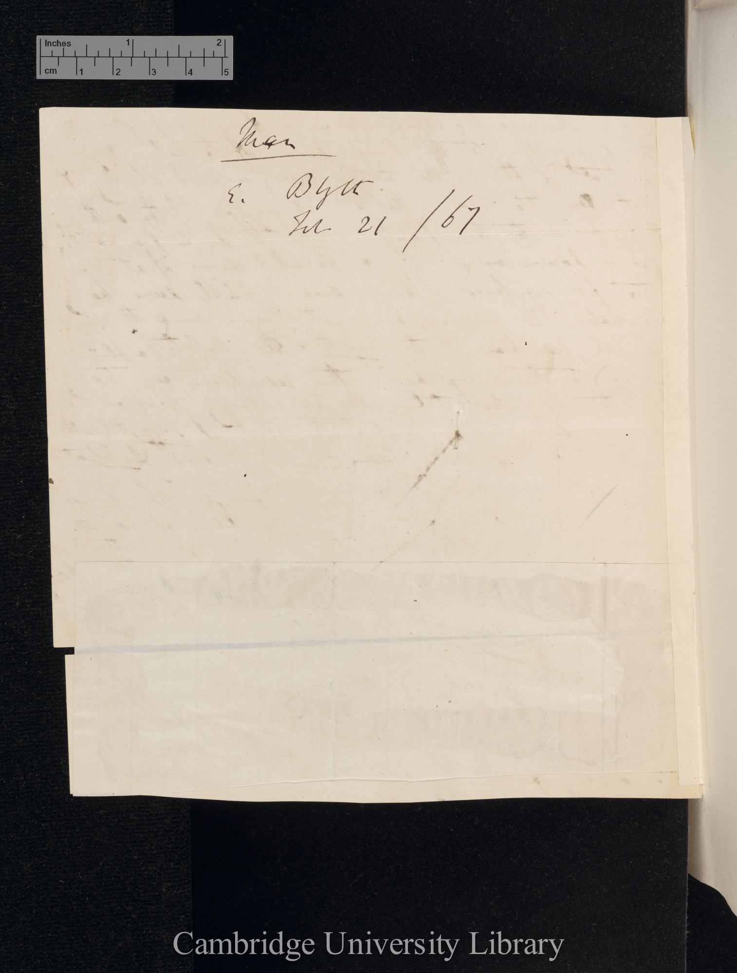 Edward Blyth to Charles Robert Darwin