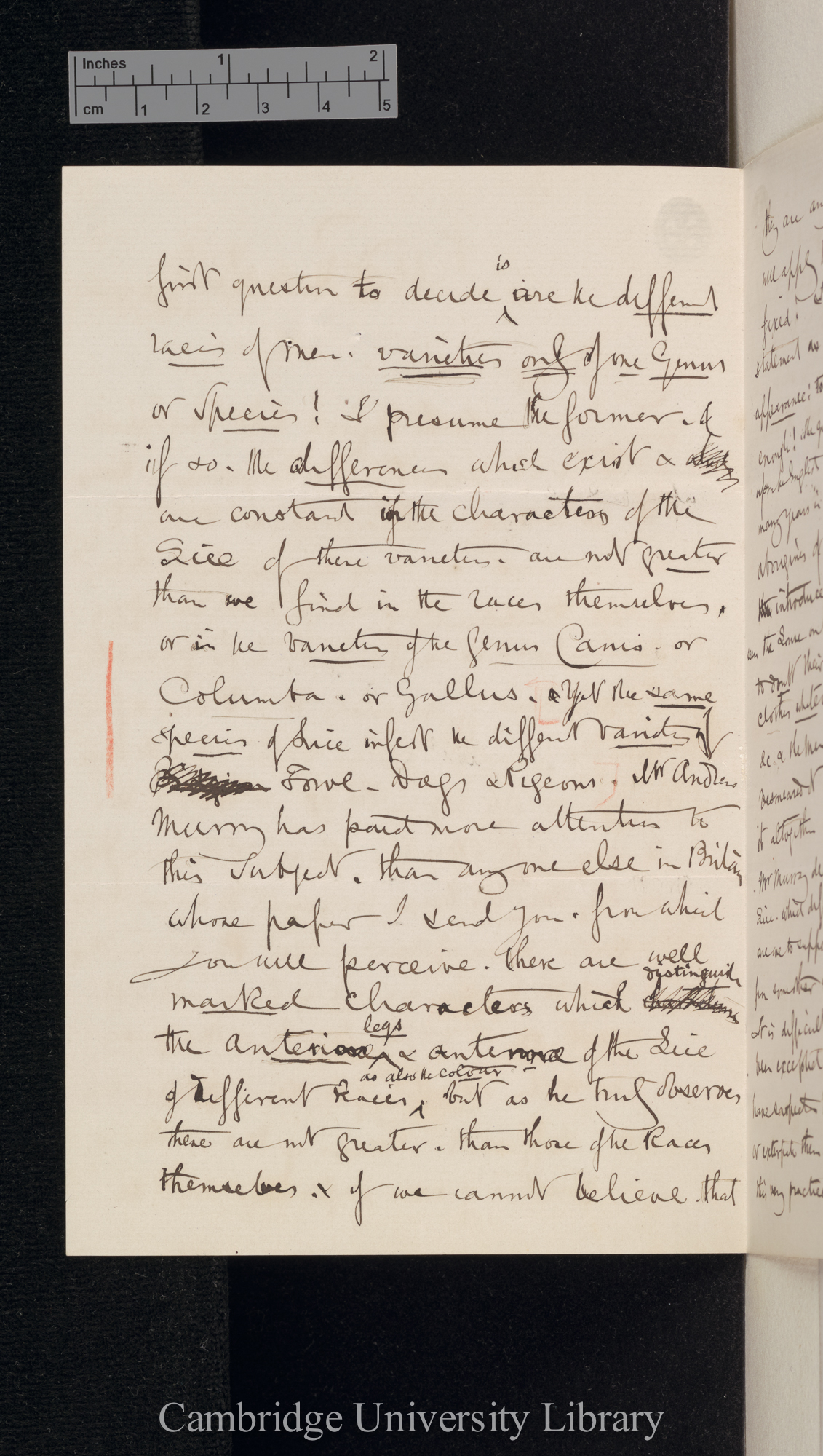 Henry Denny to Charles Robert Darwin