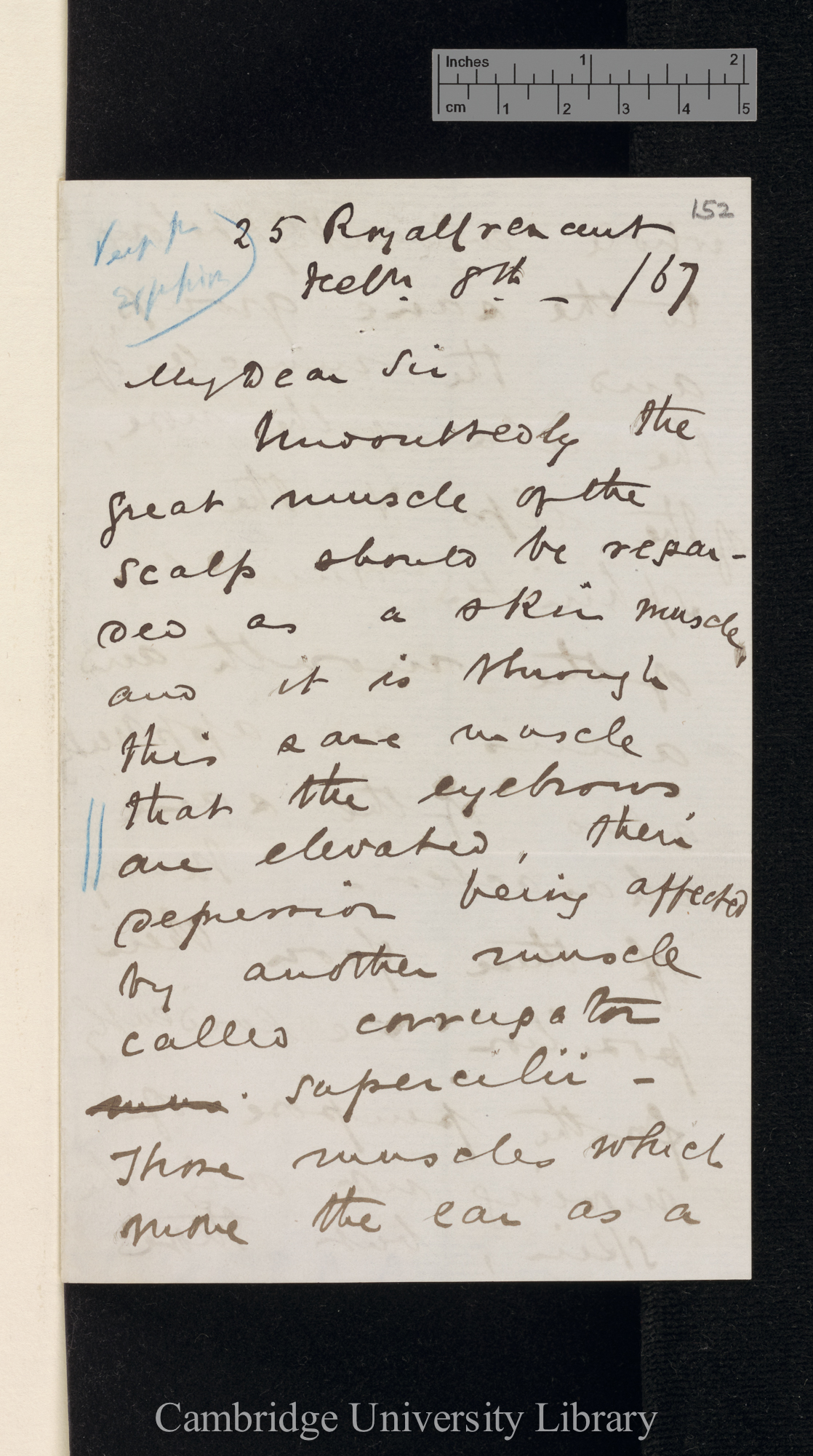 Sir William Turner to Charles Robert Darwin