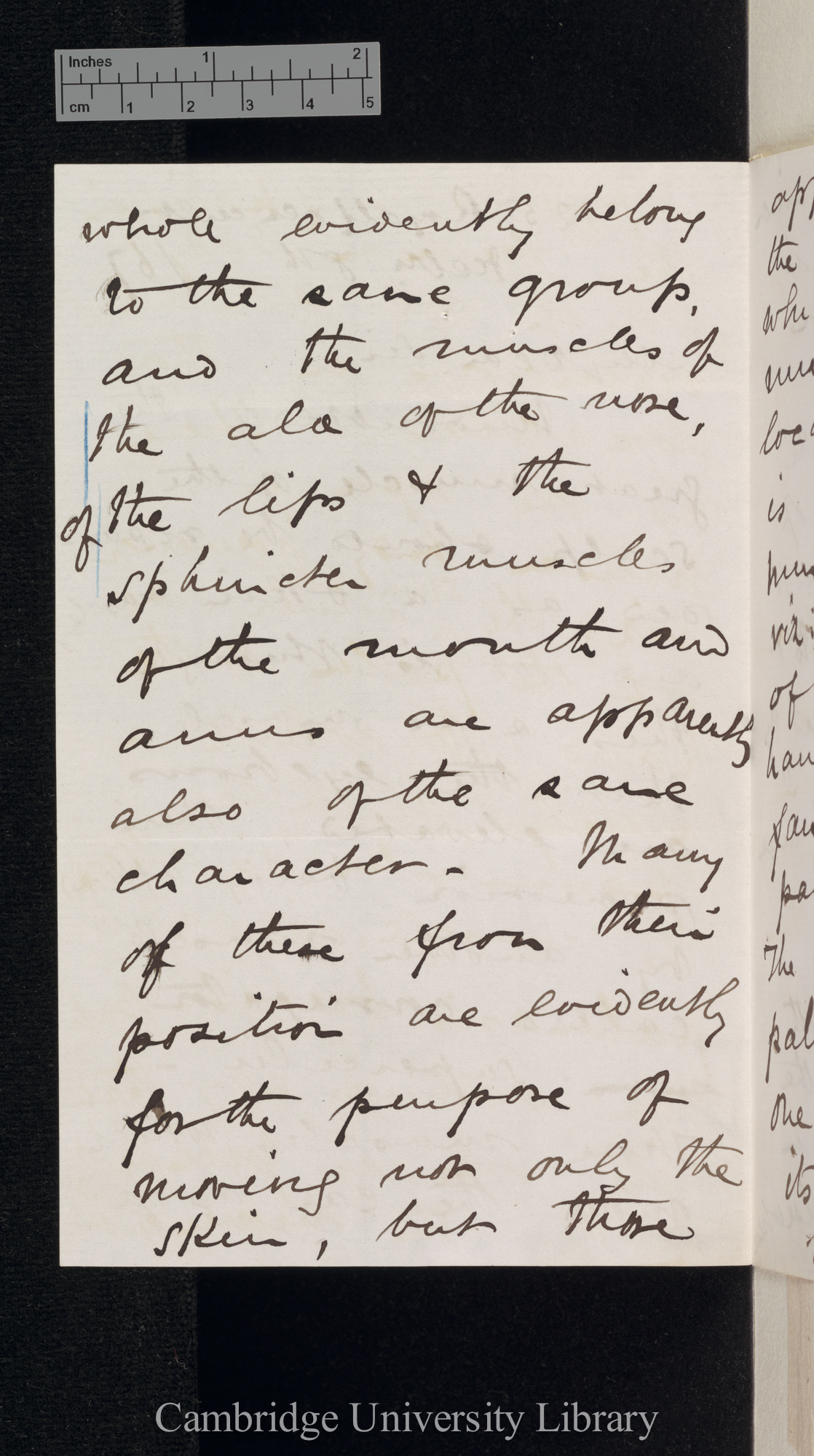 Sir William Turner to Charles Robert Darwin