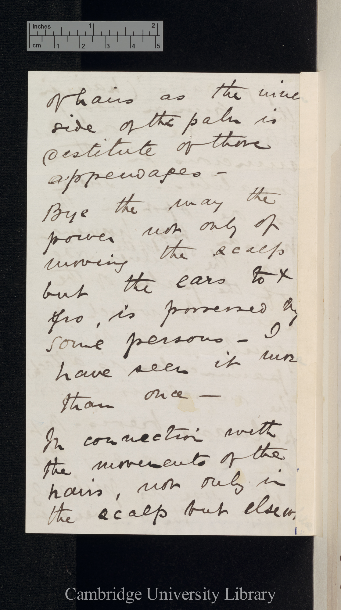 Sir William Turner to Charles Robert Darwin