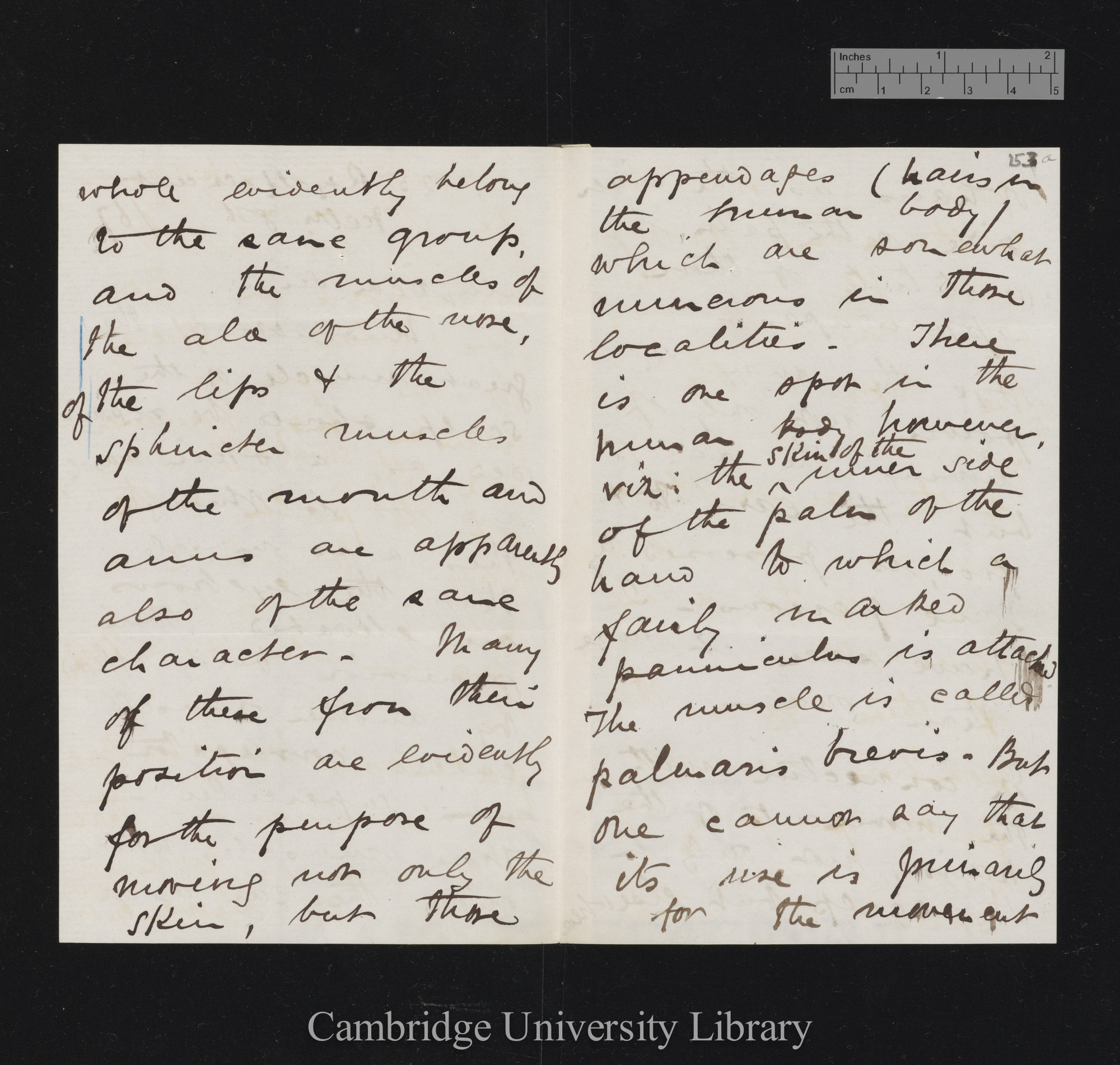 Sir William Turner to Charles Robert Darwin