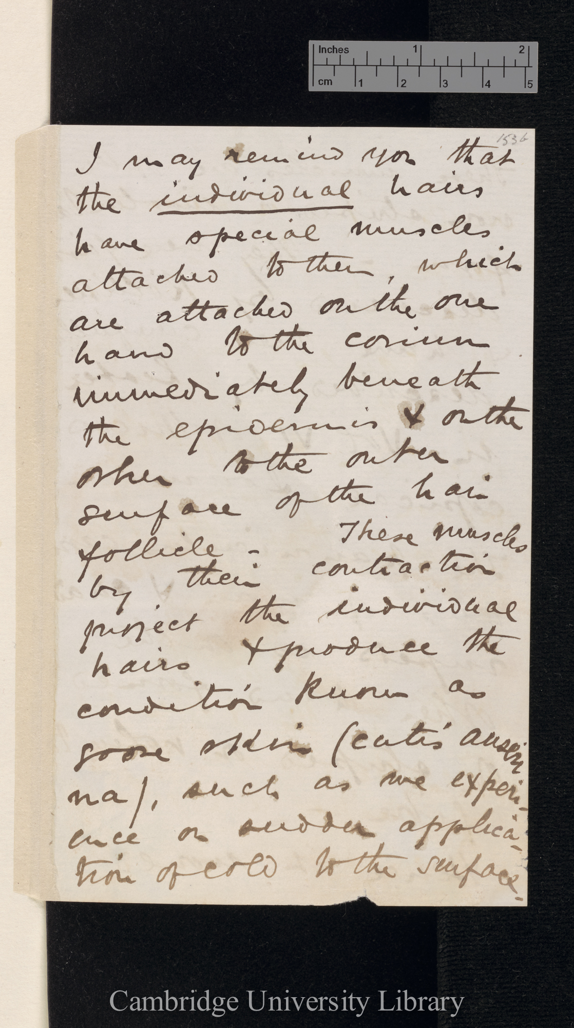 Sir William Turner to Charles Robert Darwin