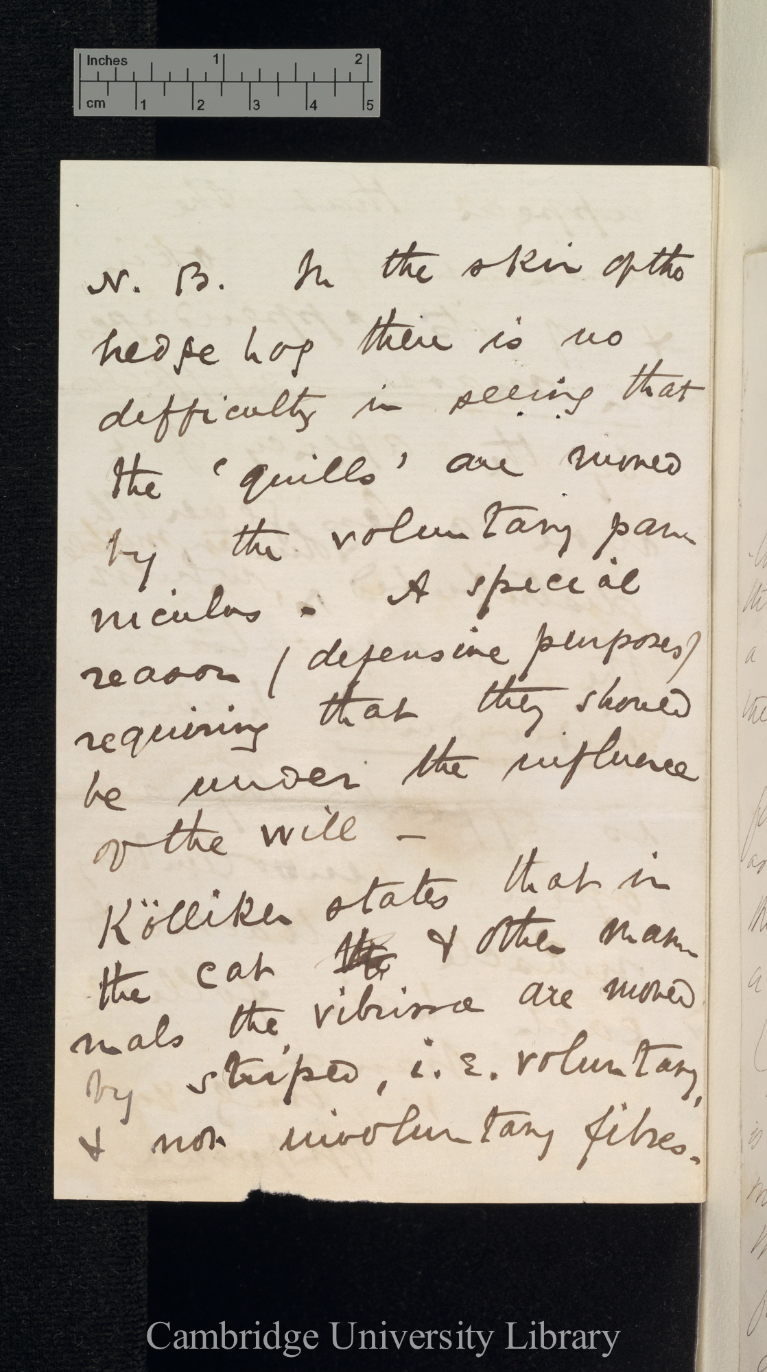 Sir William Turner to Charles Robert Darwin