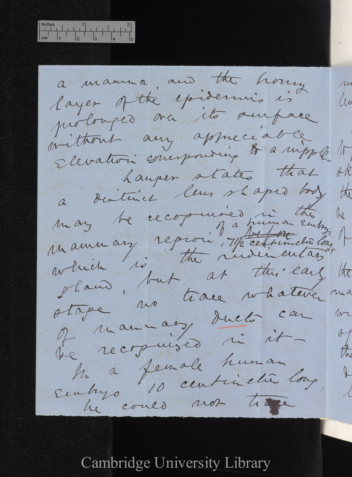 Sir William Turner to Charles Robert Darwin