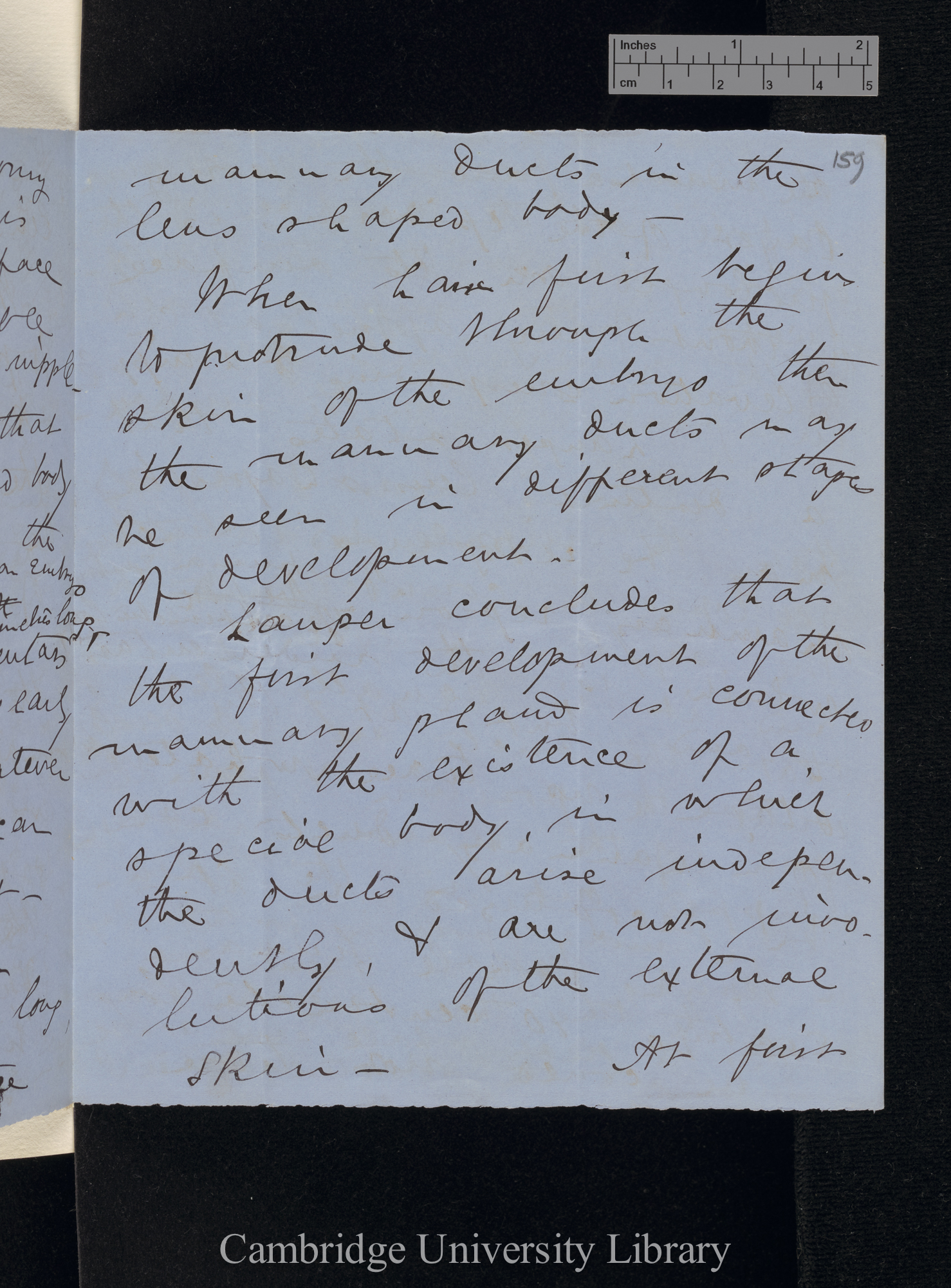 Sir William Turner to Charles Robert Darwin