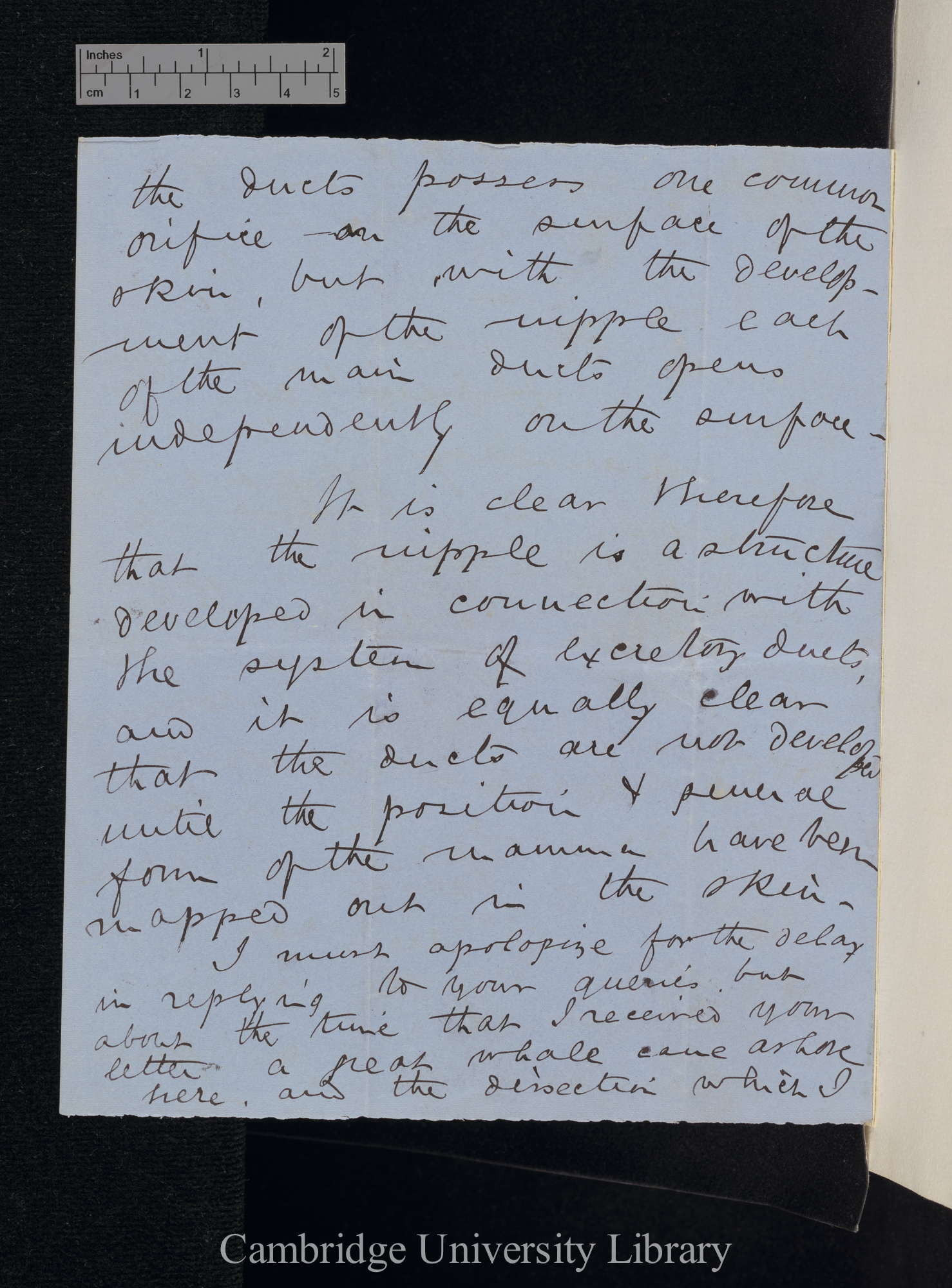 Sir William Turner to Charles Robert Darwin